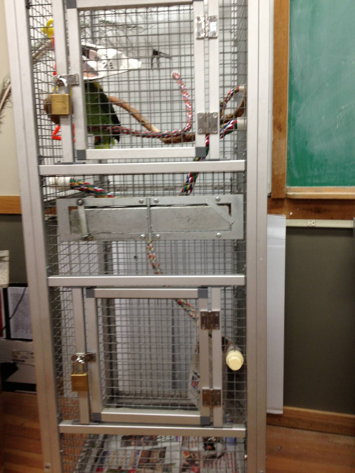 PBRS- Yellow-Throated Amazon Cage