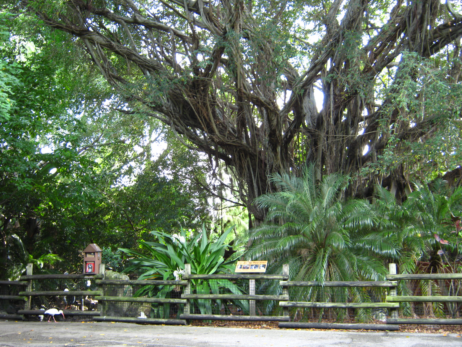 PBZ - Entrance, Grounds, Misc.