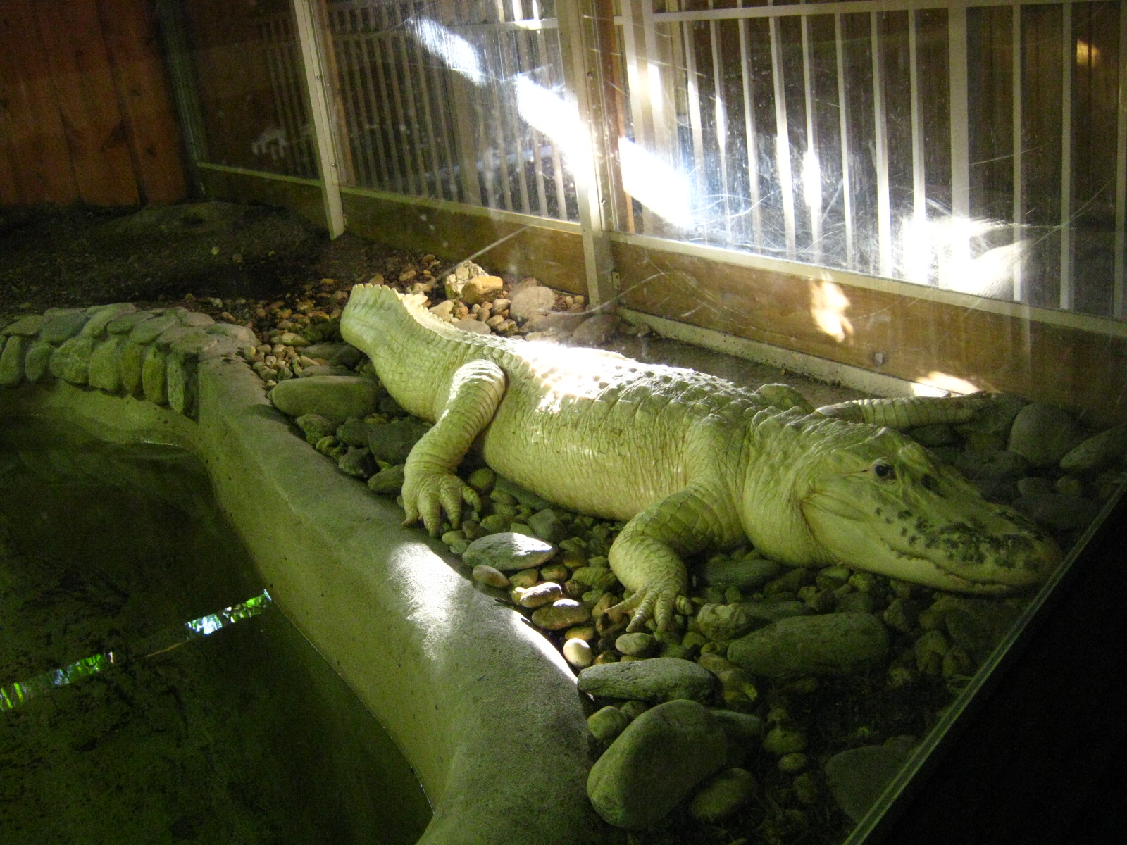 PBZ - Entrance, Grounds, Misc.