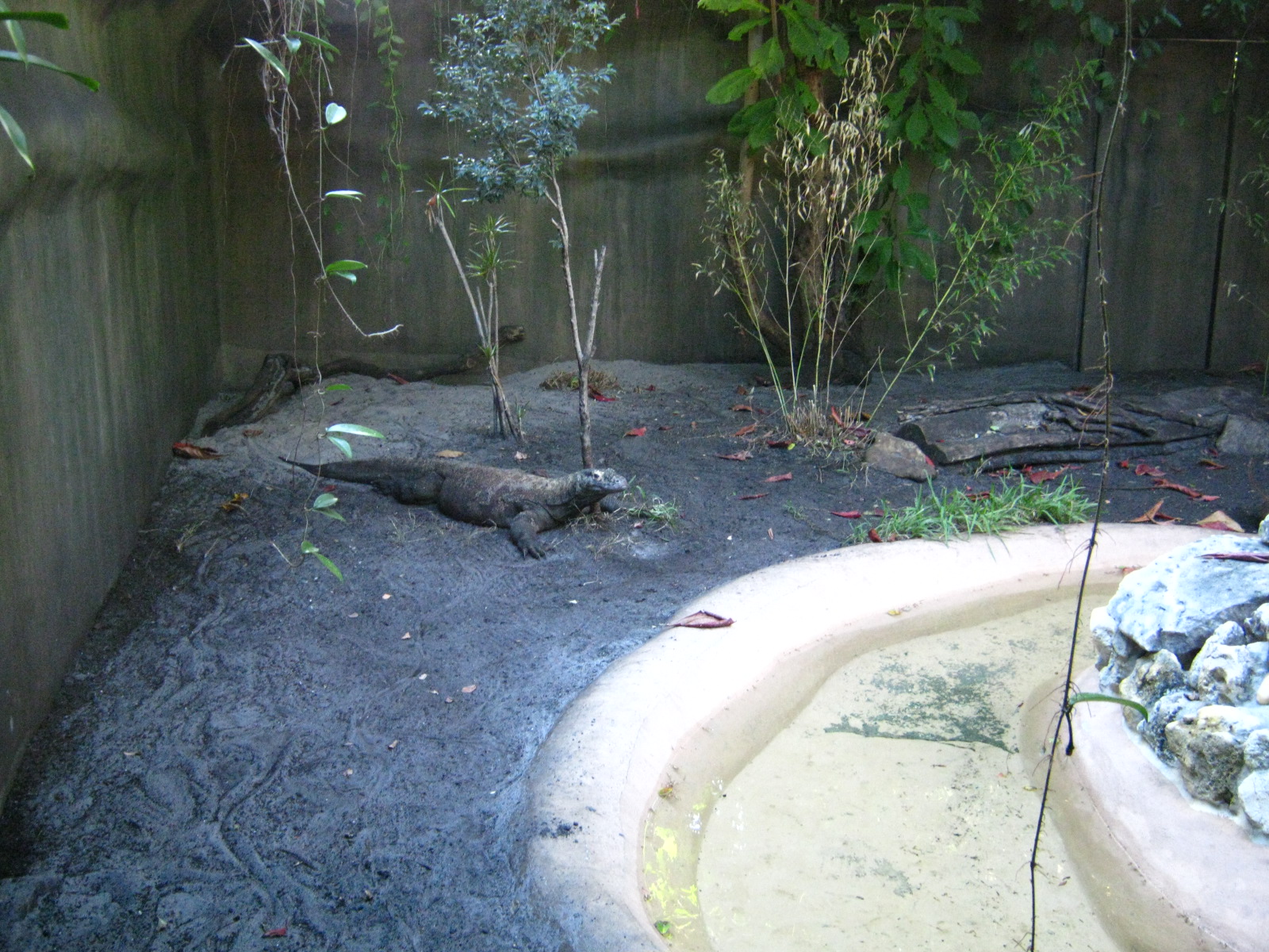 PBZ - Entrance, Grounds, Misc.