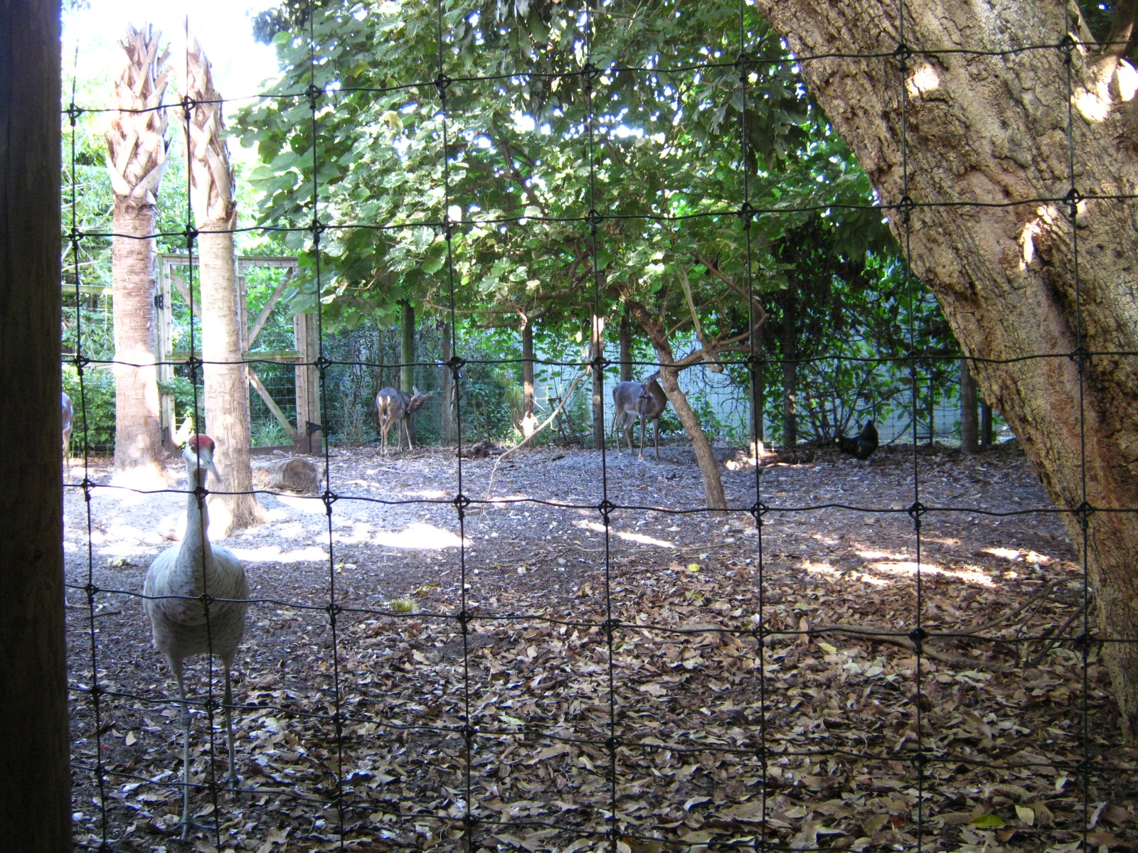 PBZ - Florida Wetlands