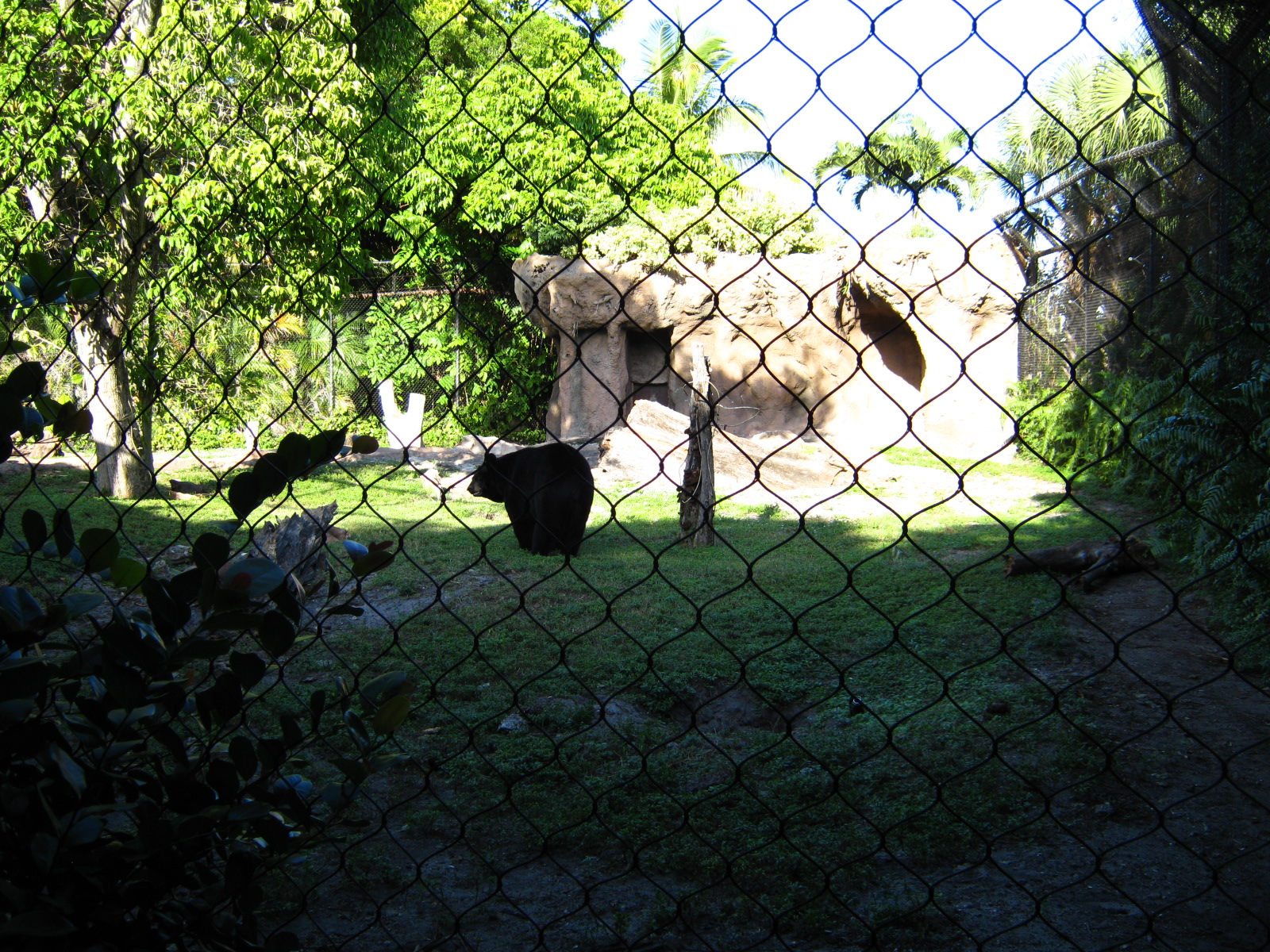 PBZ - Florida Wetlands