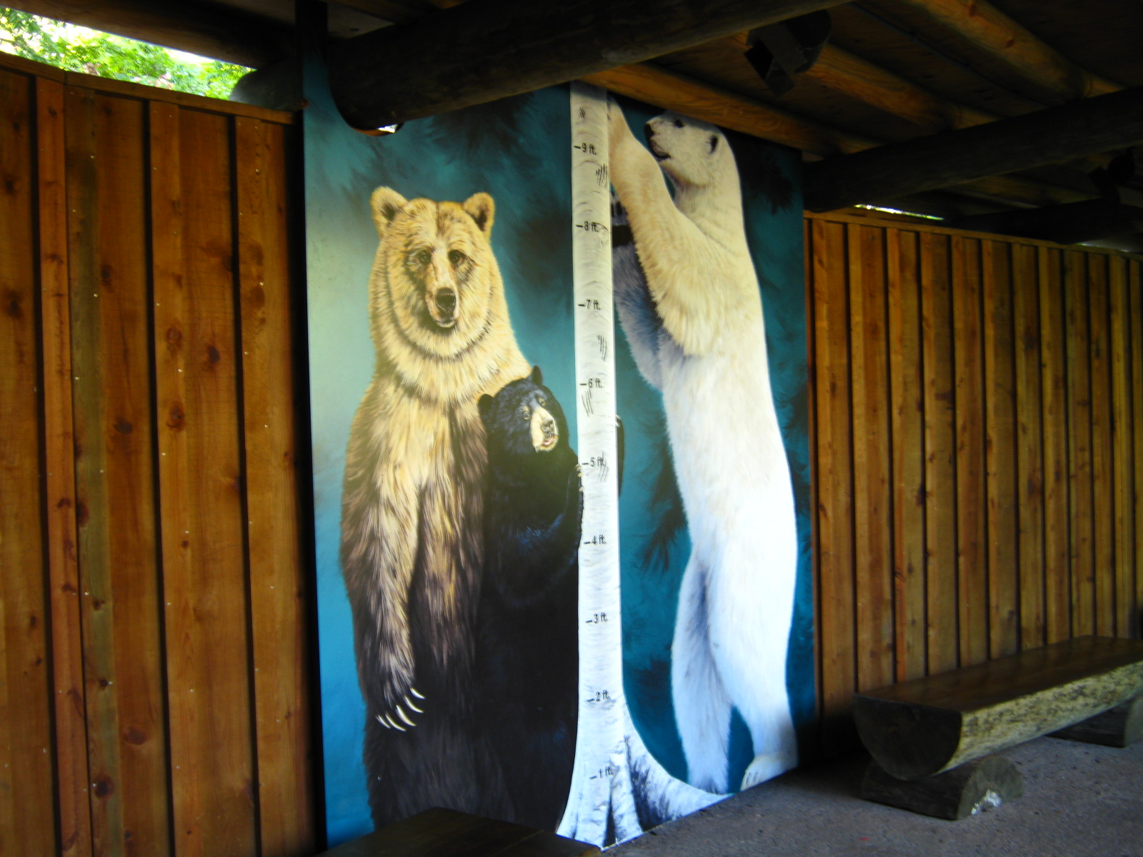 PBZ - Florida Wetlands