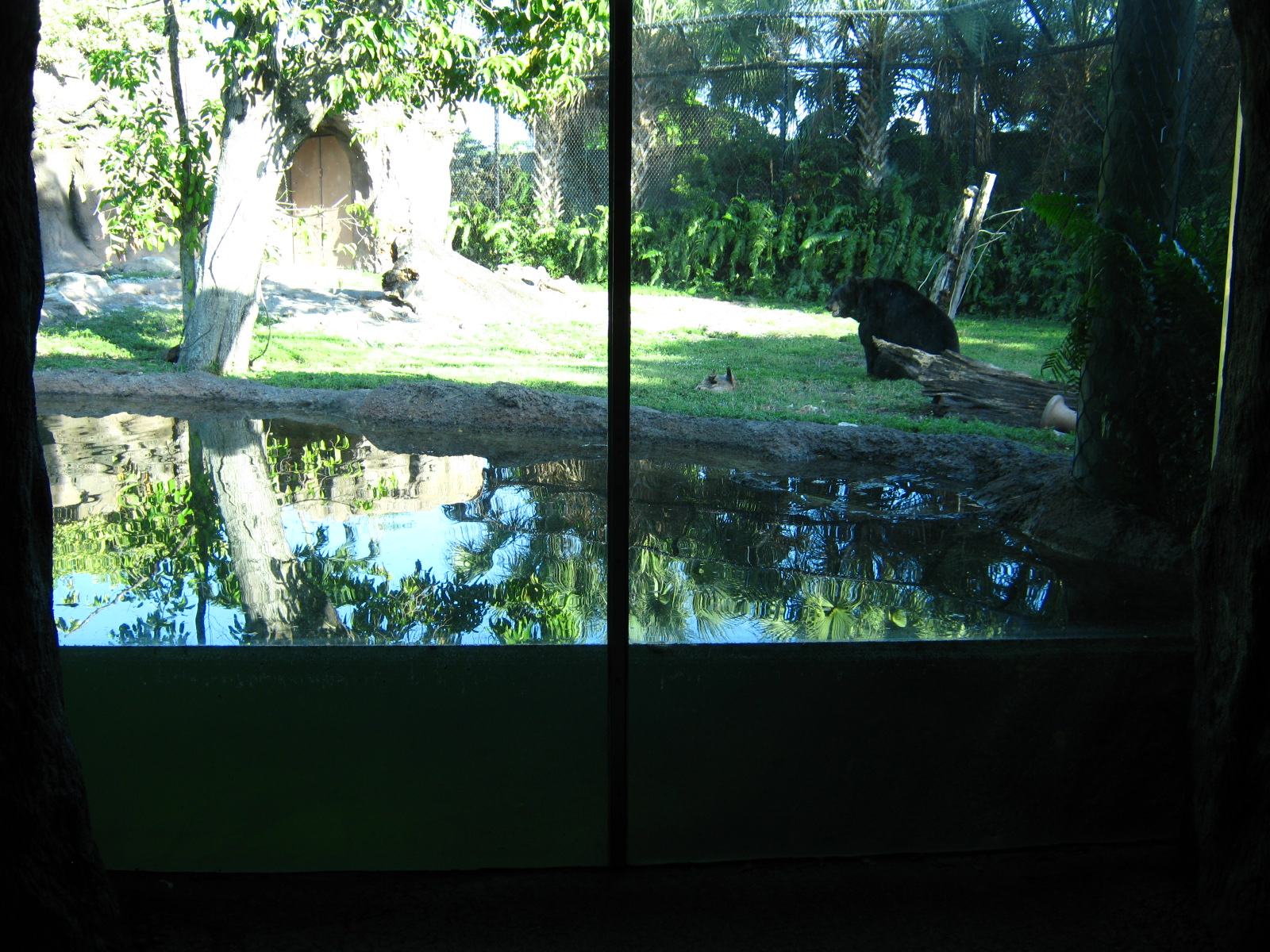 PBZ - Florida Wetlands