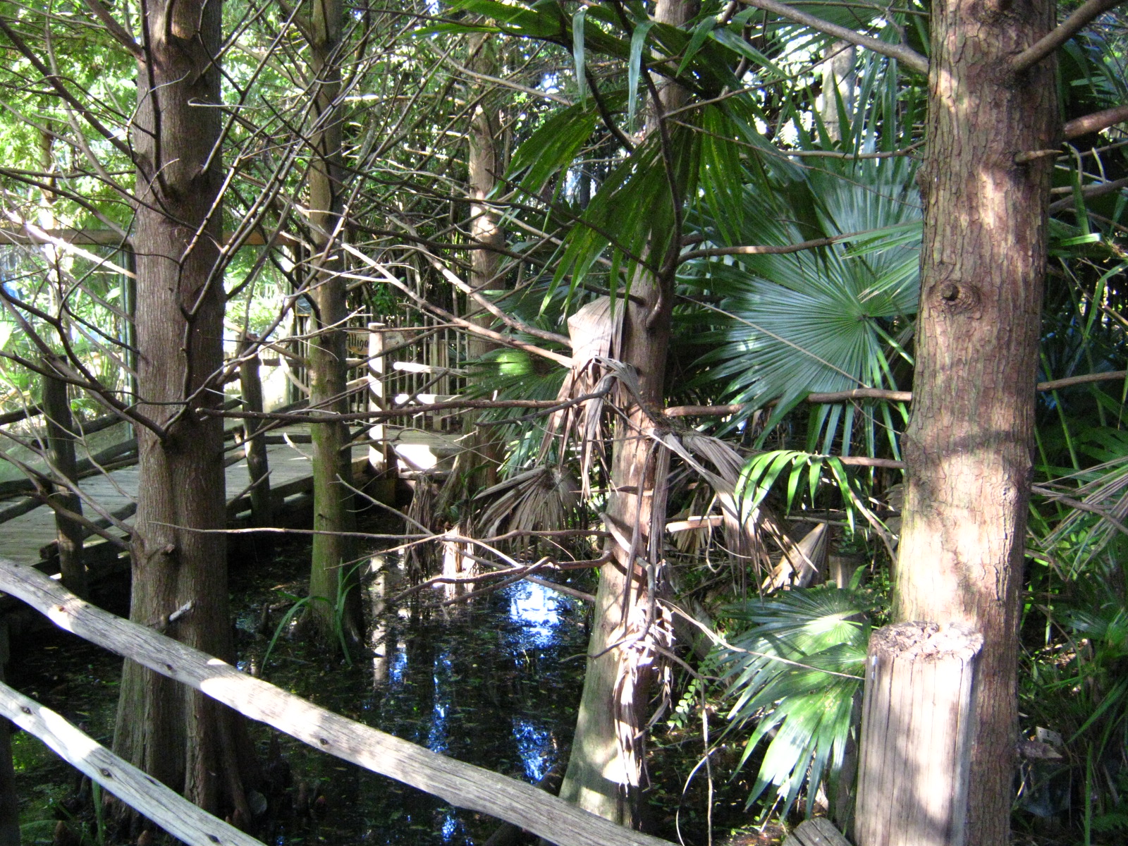 PBZ - Florida Wetlands