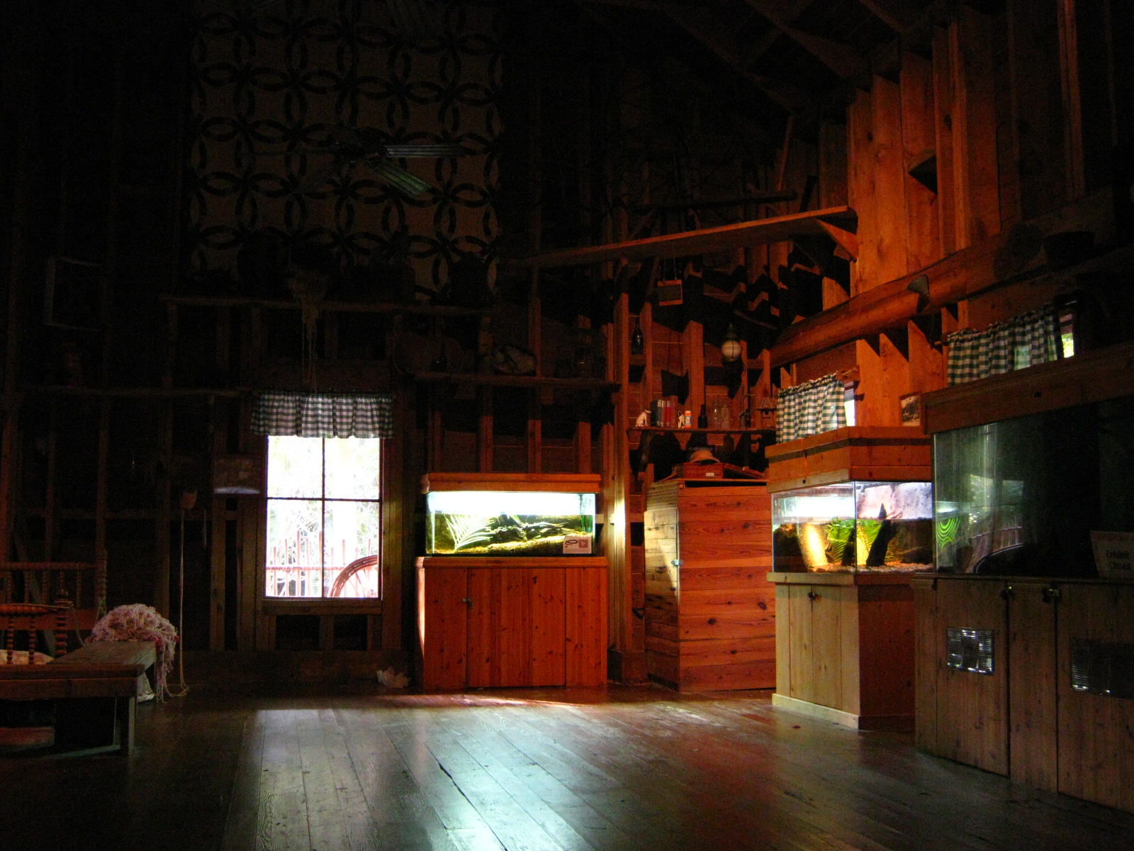 PBZ - Florida Wetlands