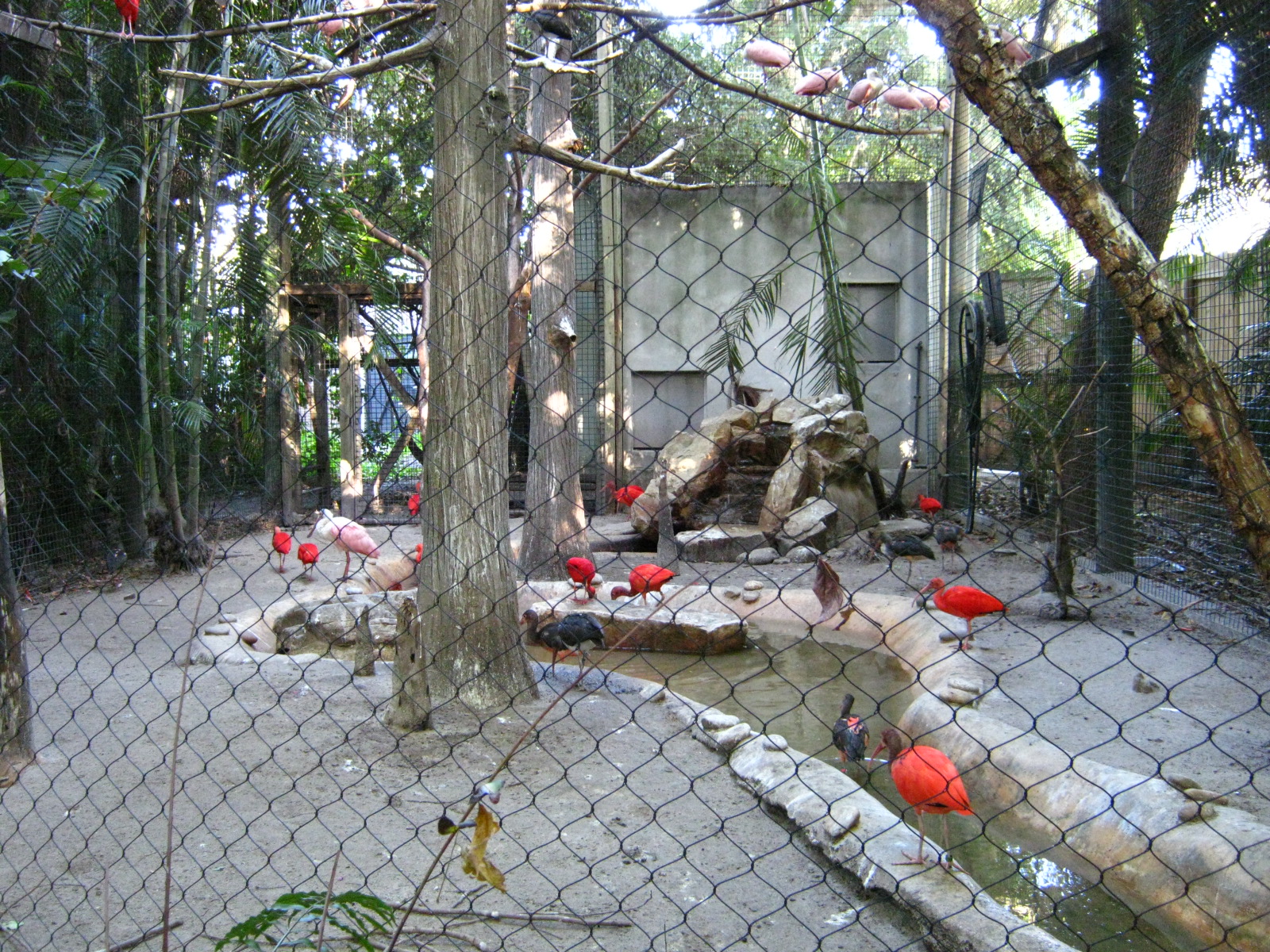 PBZ - Florida Wetlands