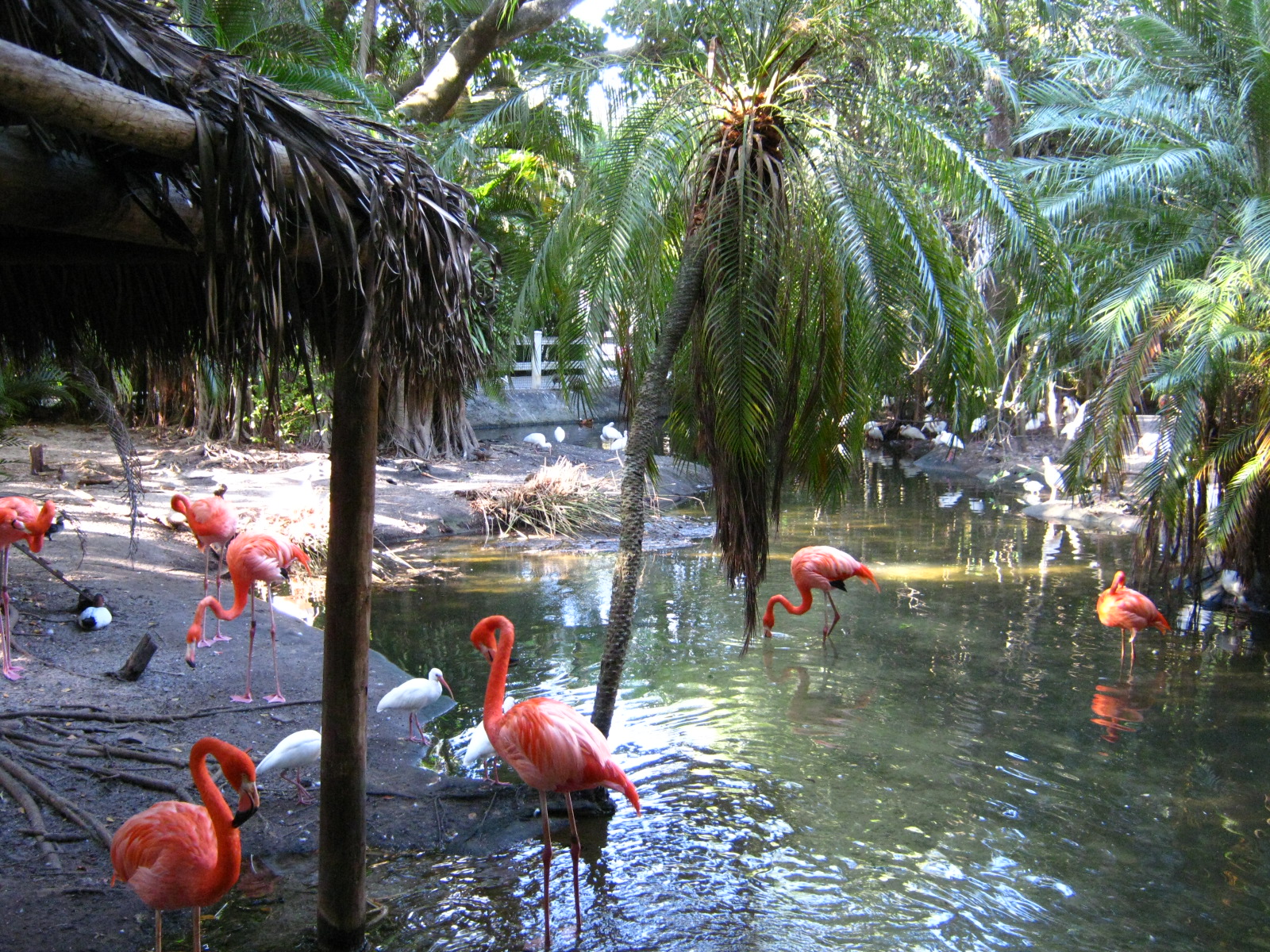 PBZ - Florida Wetlands