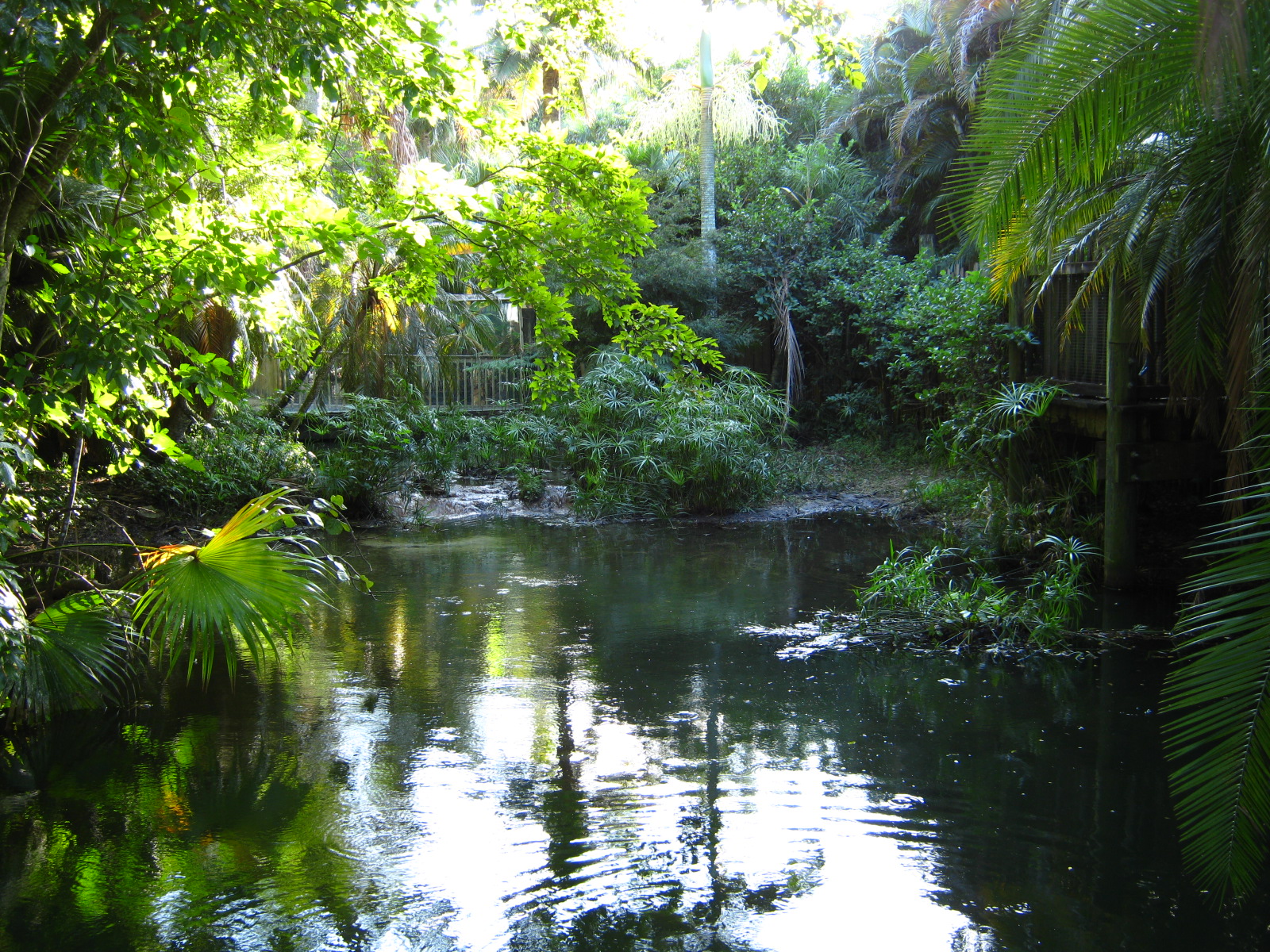 PBZ - Florida Wetlands