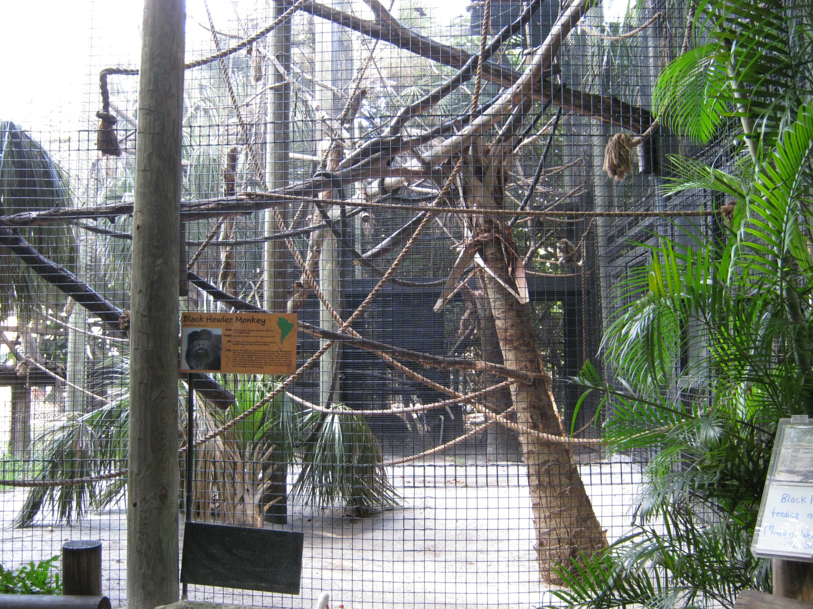 PBZ - Misc. animal exhibits