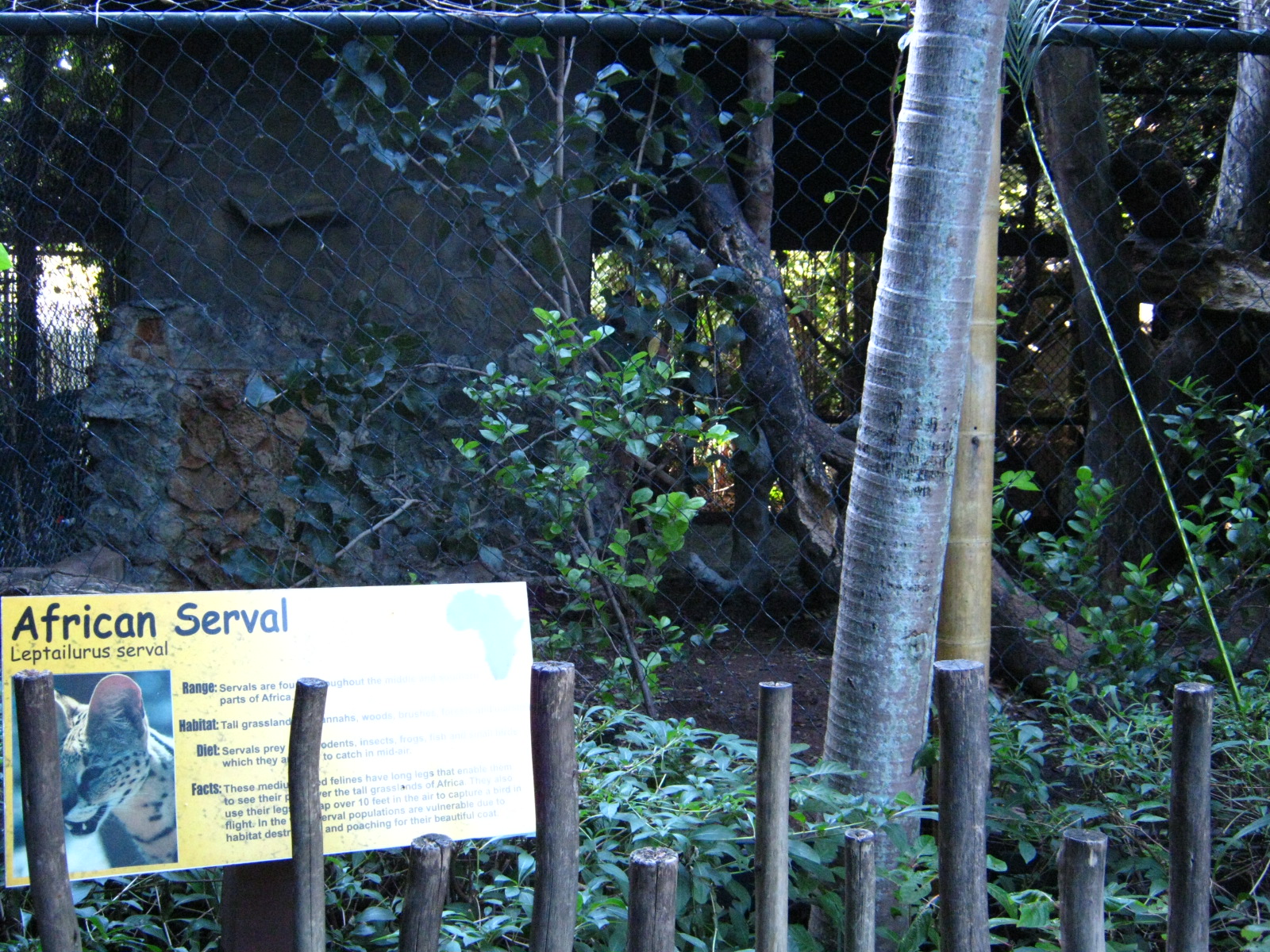 PBZ - Misc. animal exhibits