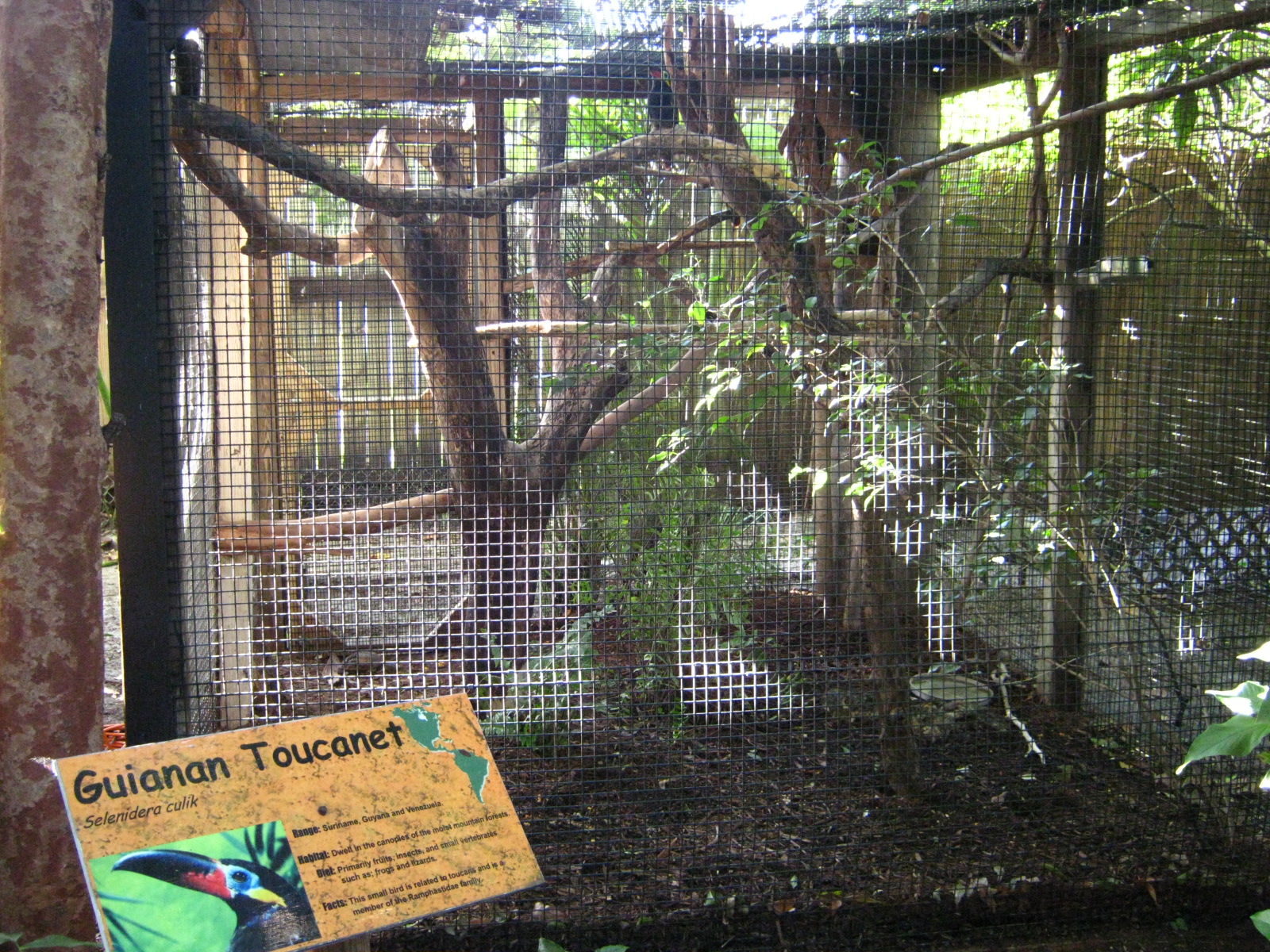 PBZ - Misc. animal exhibits