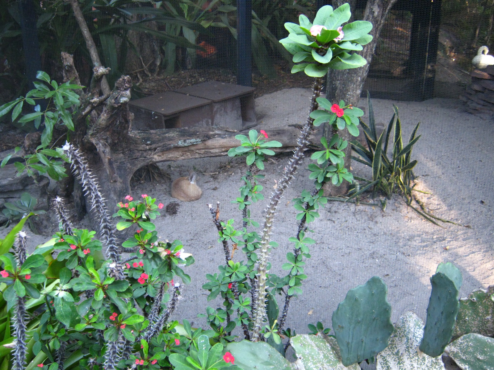 PBZ - Misc. animal exhibits