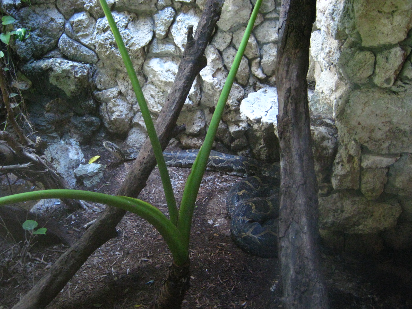 PBZ - Misc. animal exhibits