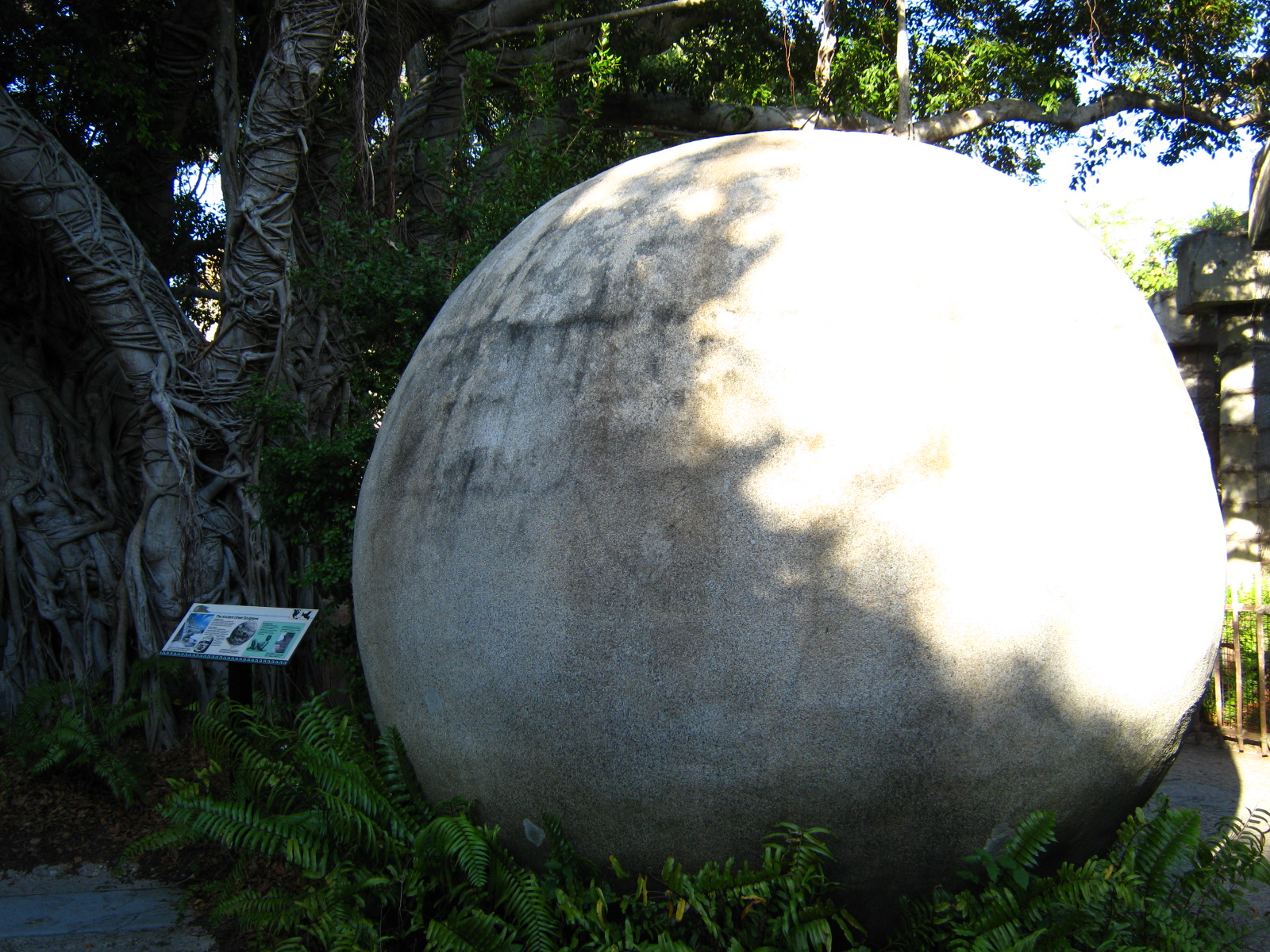 PBZ - Tropics of the Americas