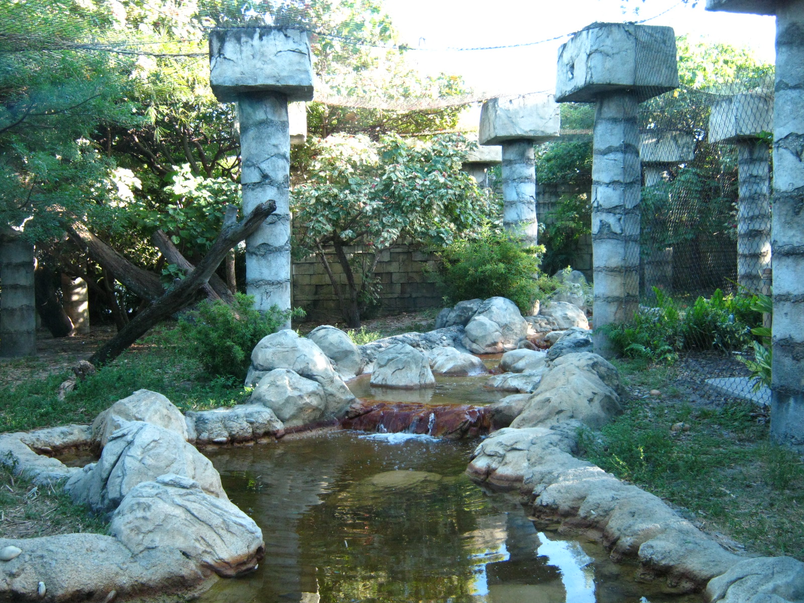 PBZ - Tropics of the Americas