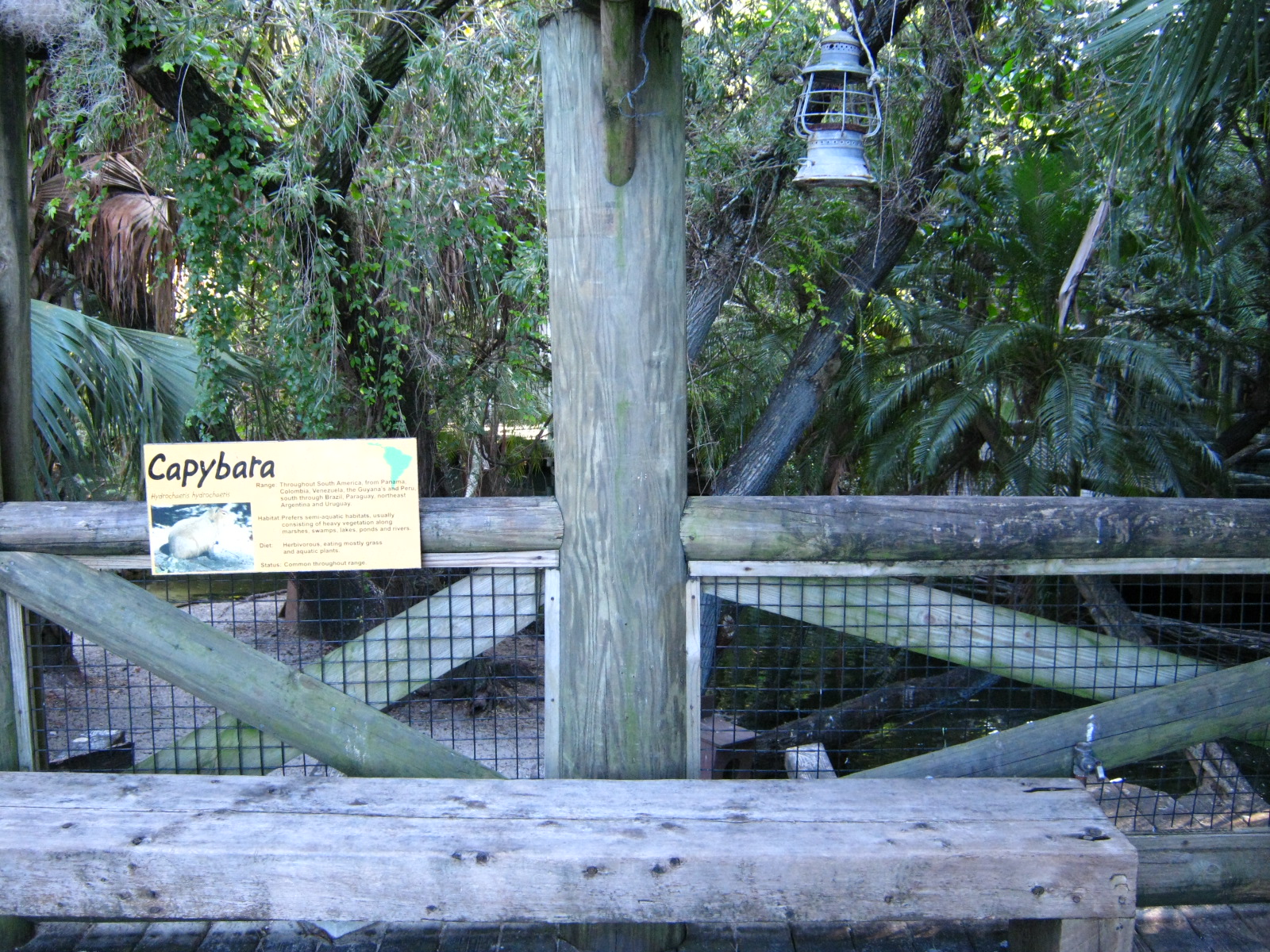 PBZ - Tropics of the Americas