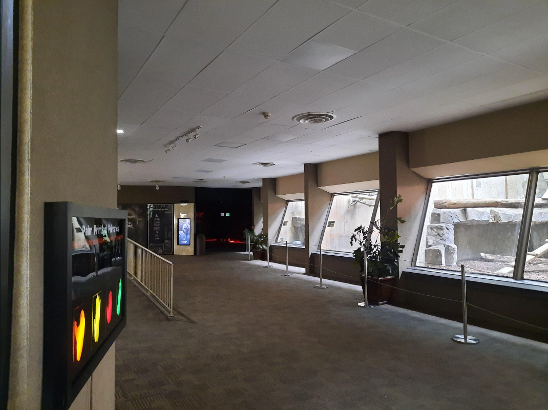 PCA - Primate Entrance