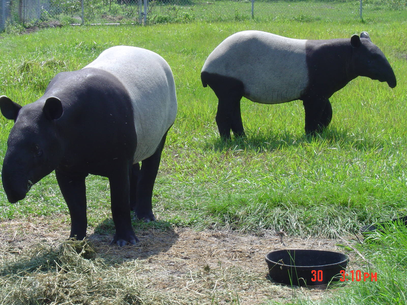 Peace River Refuge- Arcadia- 2004