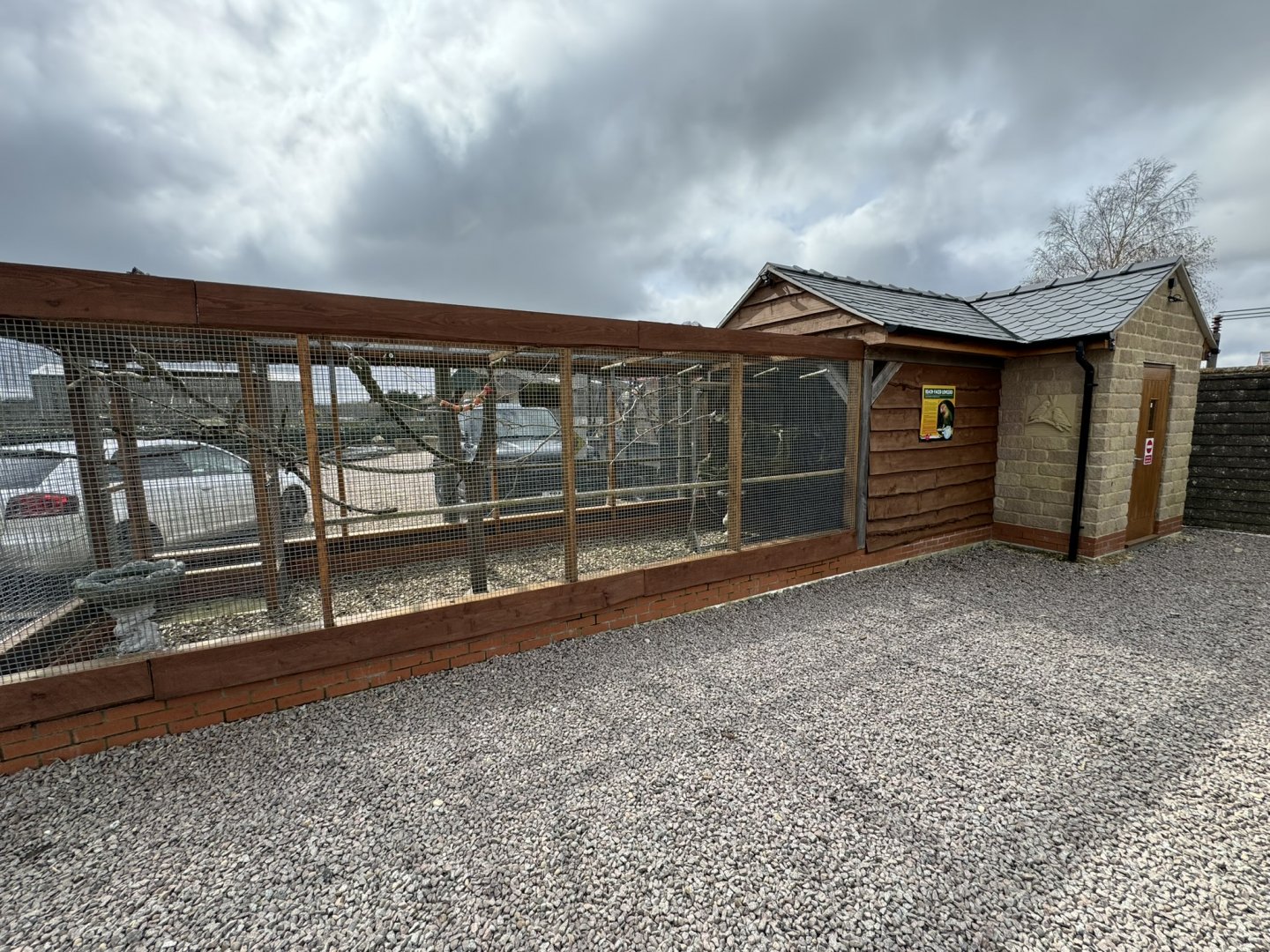 Peach-faced Lovebird Aviary at Wolds Wildlife Park (March 2024)