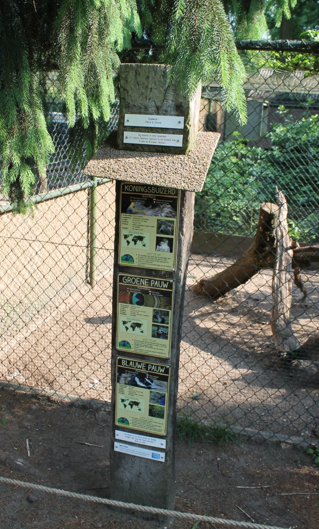 Peacock and Buzzard signs