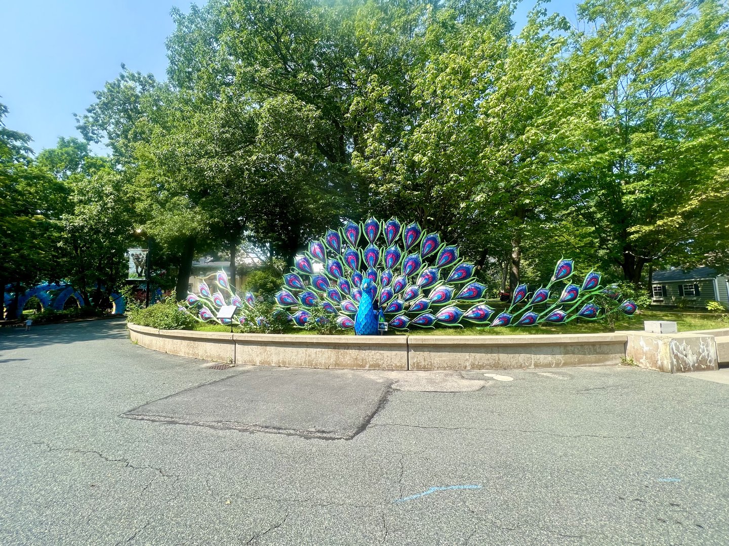 Peacock Art