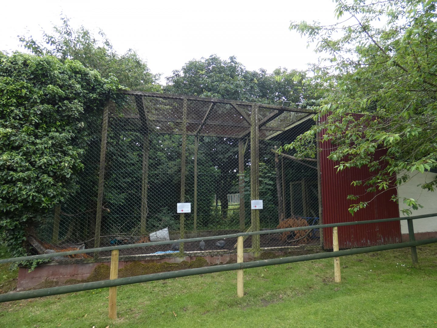 Peacock aviary (Greenacres Animal Park)