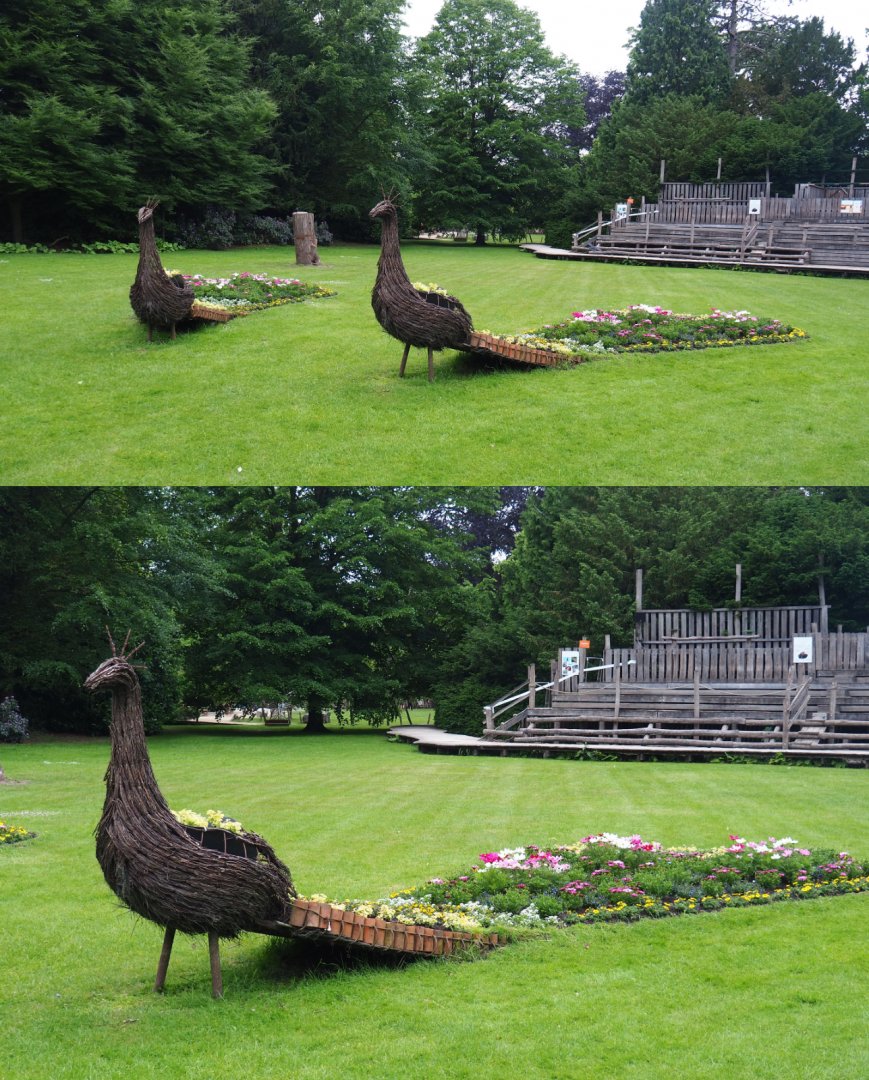 Peacock flower beds, 2020-05-23