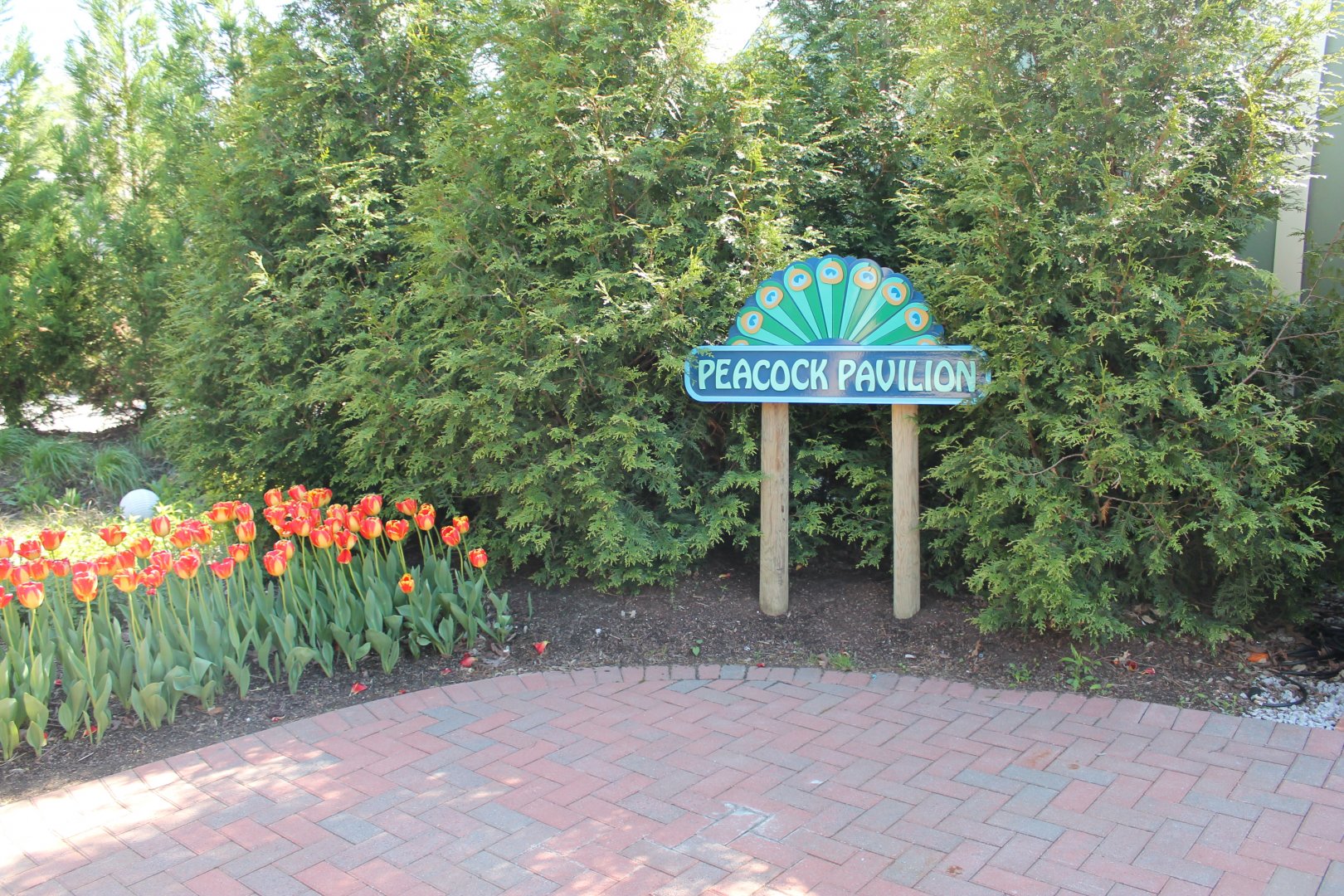 Peacock Pavilion Event Center