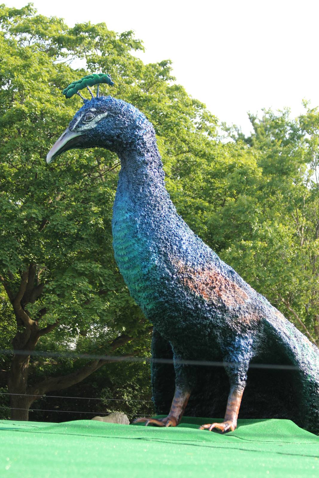 Peacock statue replacing Stingray Bay