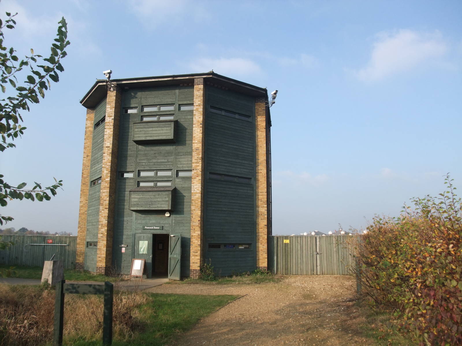 Peacock Tower Hide at London WWT (Barnes), 15/11/11