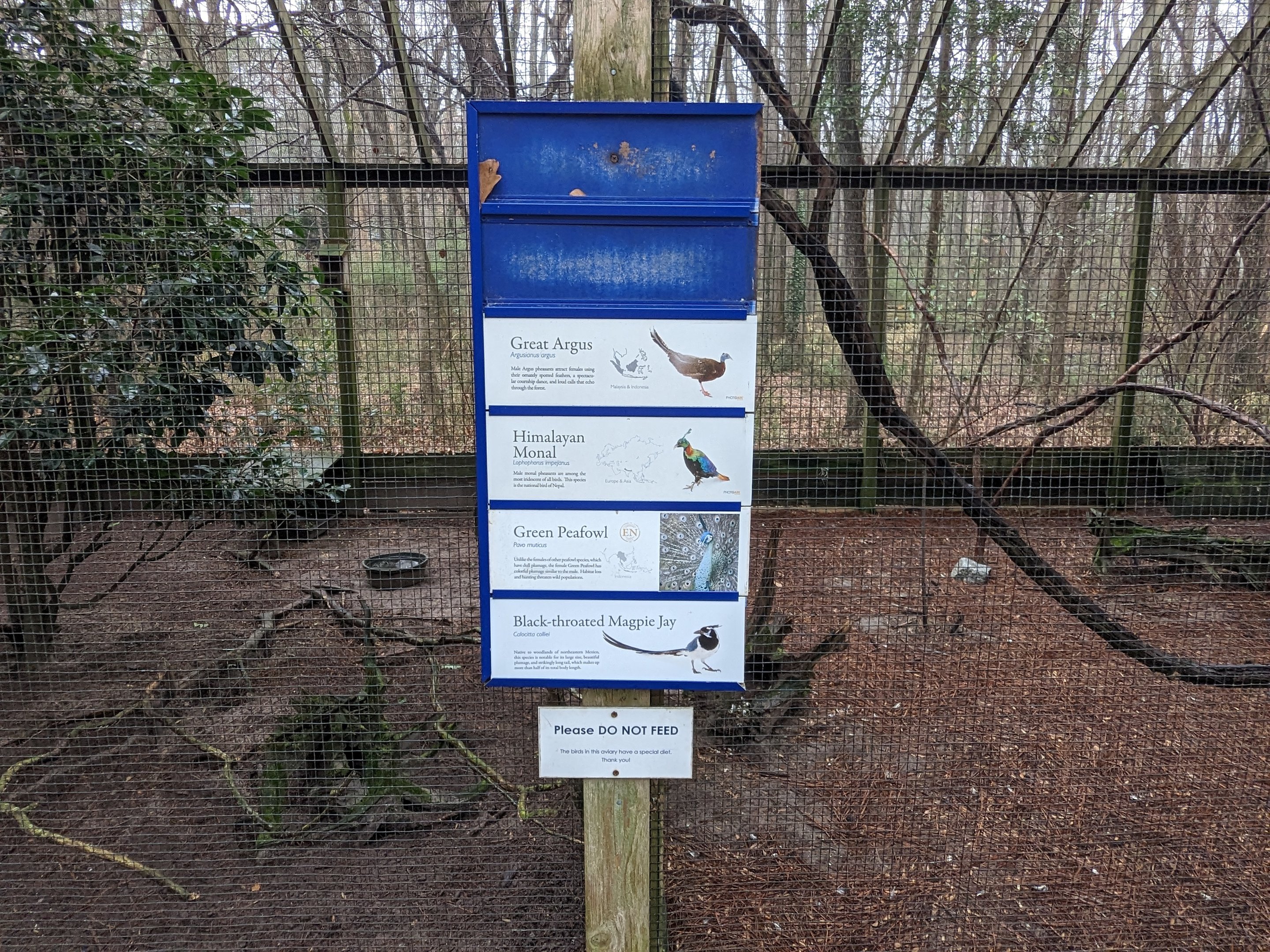 Peafowl and Pheasants - sign
