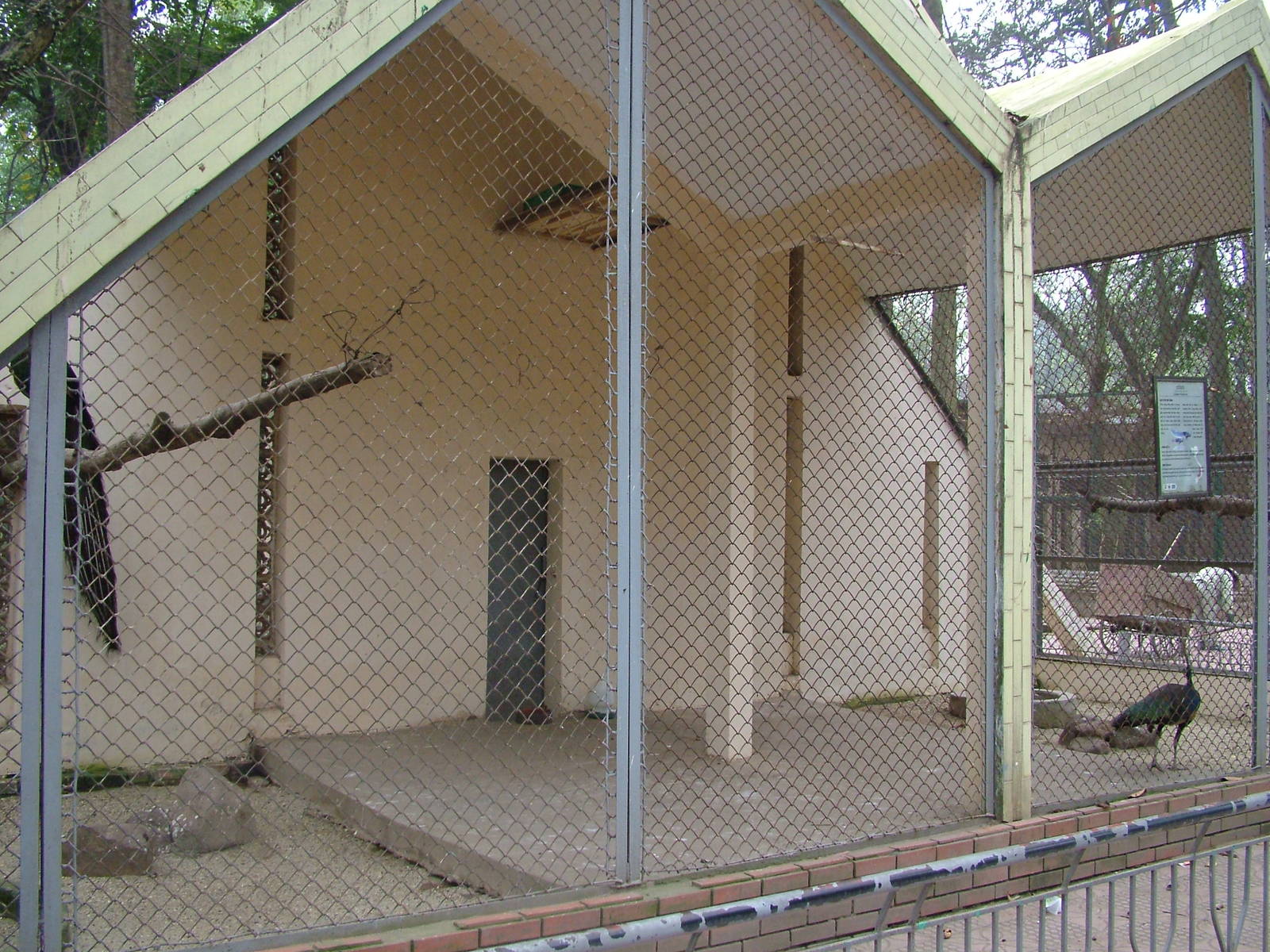 Peafowl Aviary at Hanoi Zoo, 15/03/12