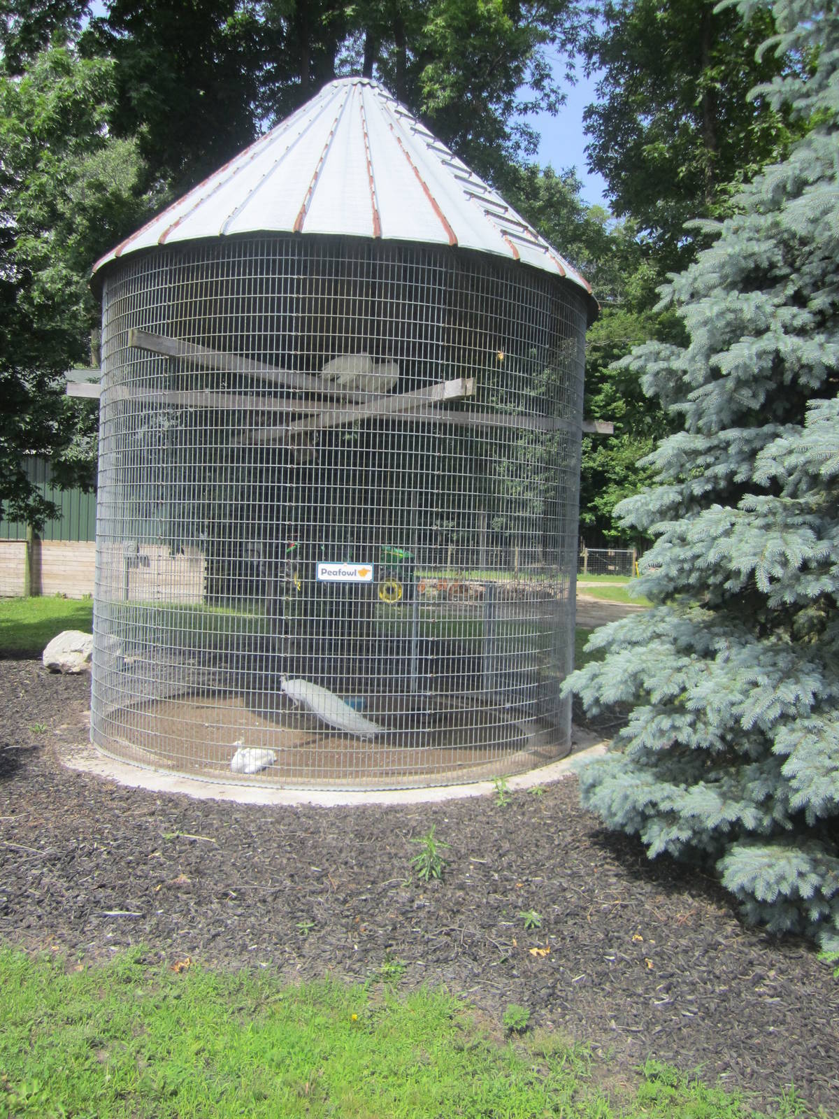 Peafowl Corn Crib Cage