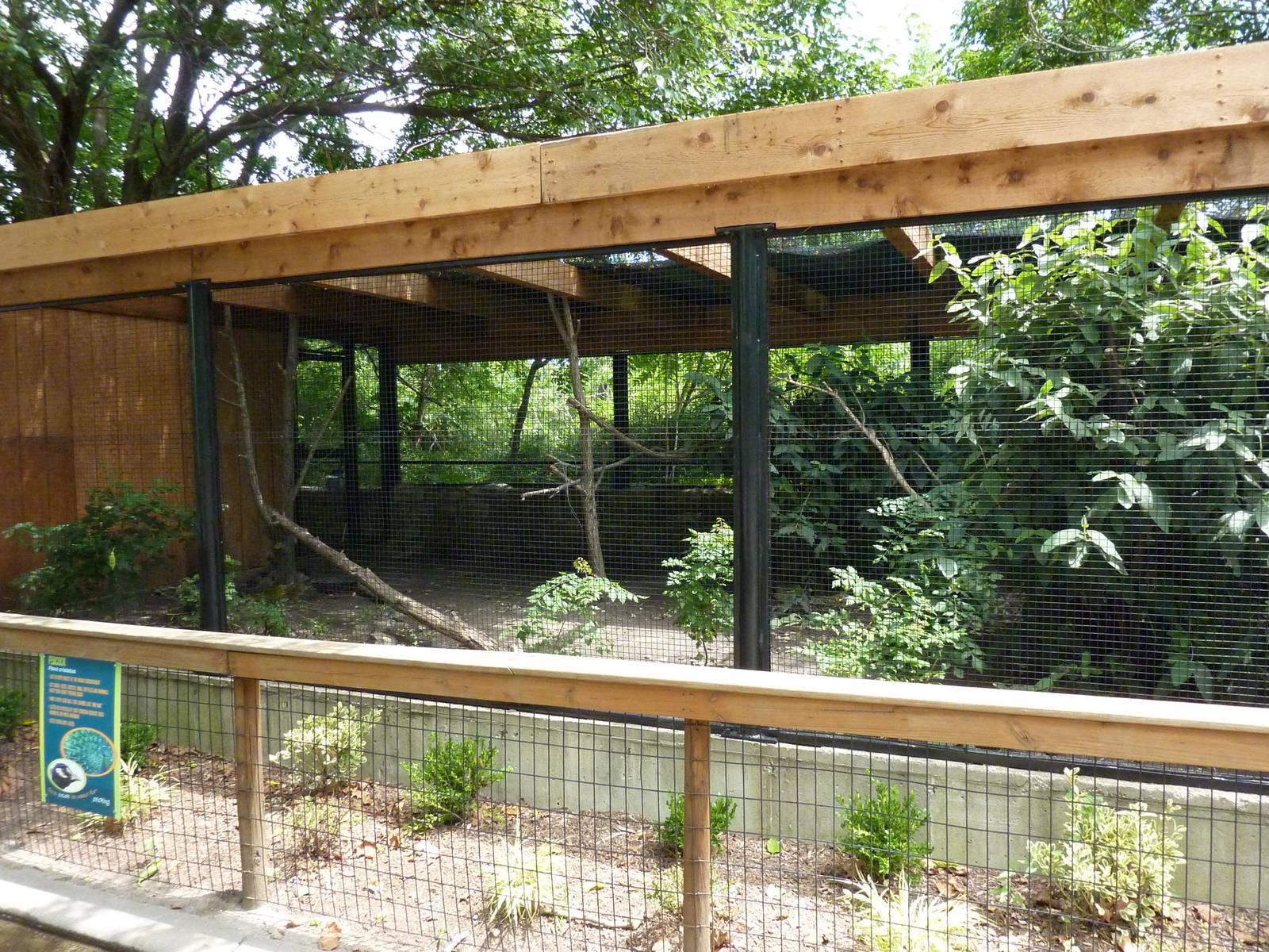 Peafowl Exhibit