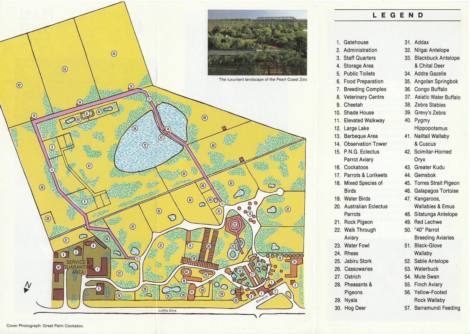 Pearl Coast Zoo - historical memorabilia