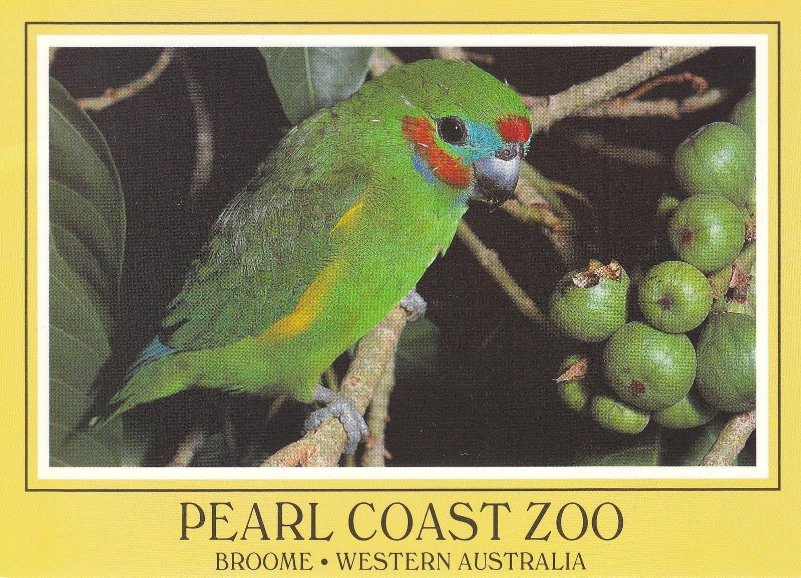 Pearl Coast Zoo - historical memorabilia