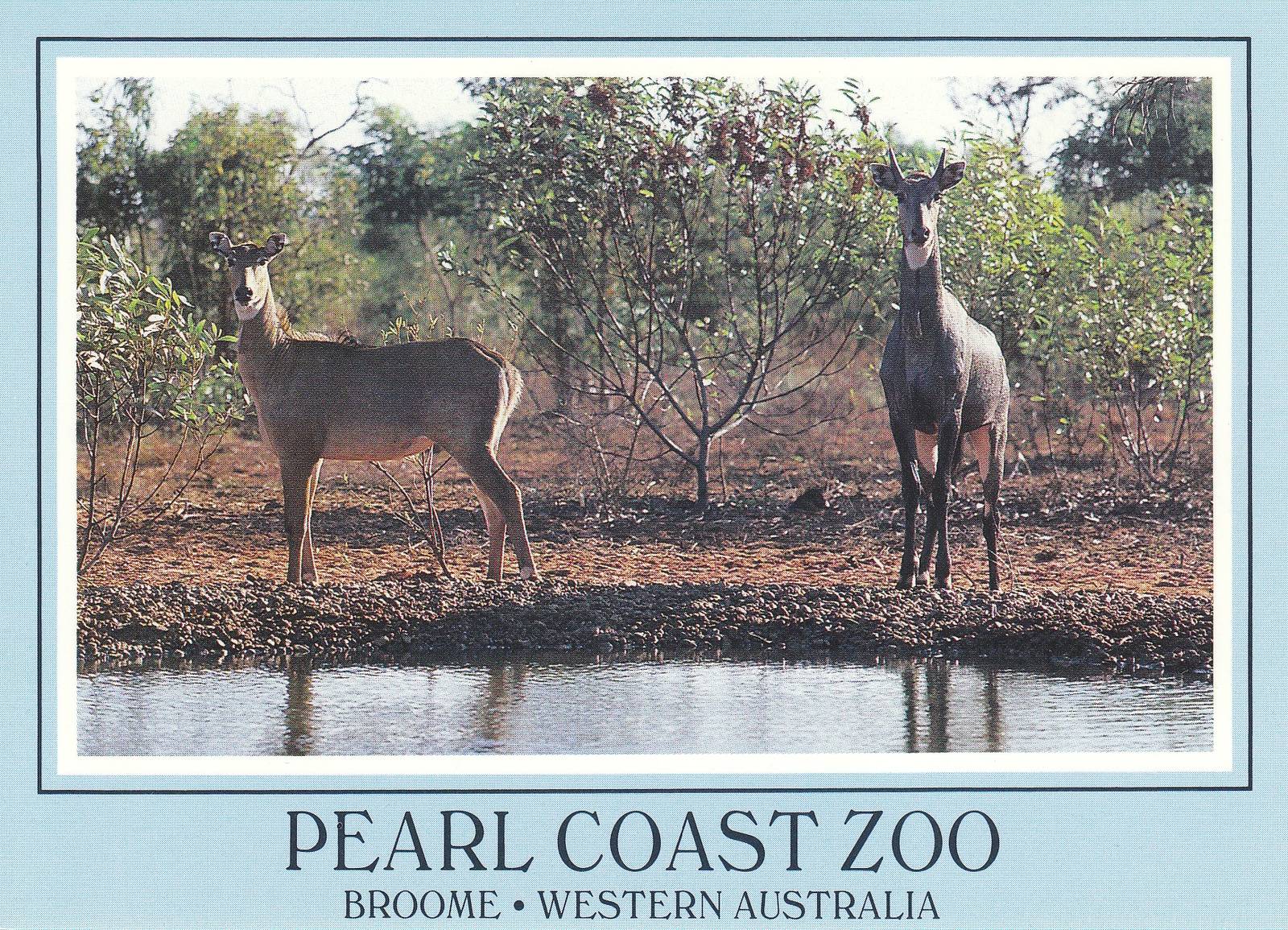 Pearl Coast Zoo - historical memorabilia