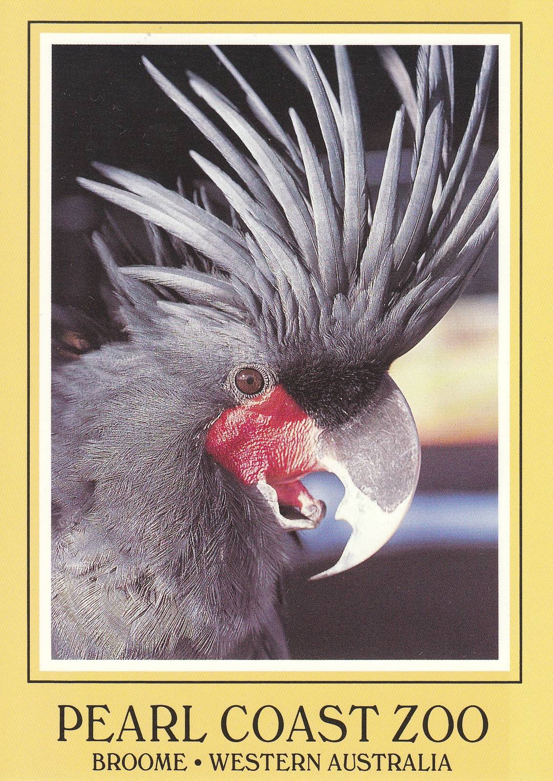 Pearl Coast Zoo - historical memorabilia