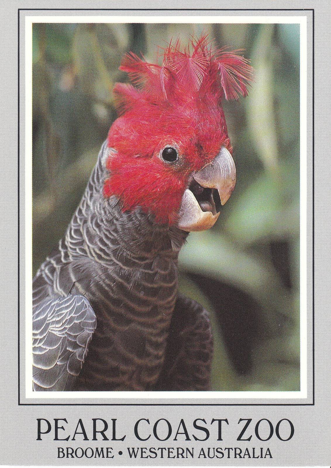 Pearl Coast Zoo - historical memorabilia