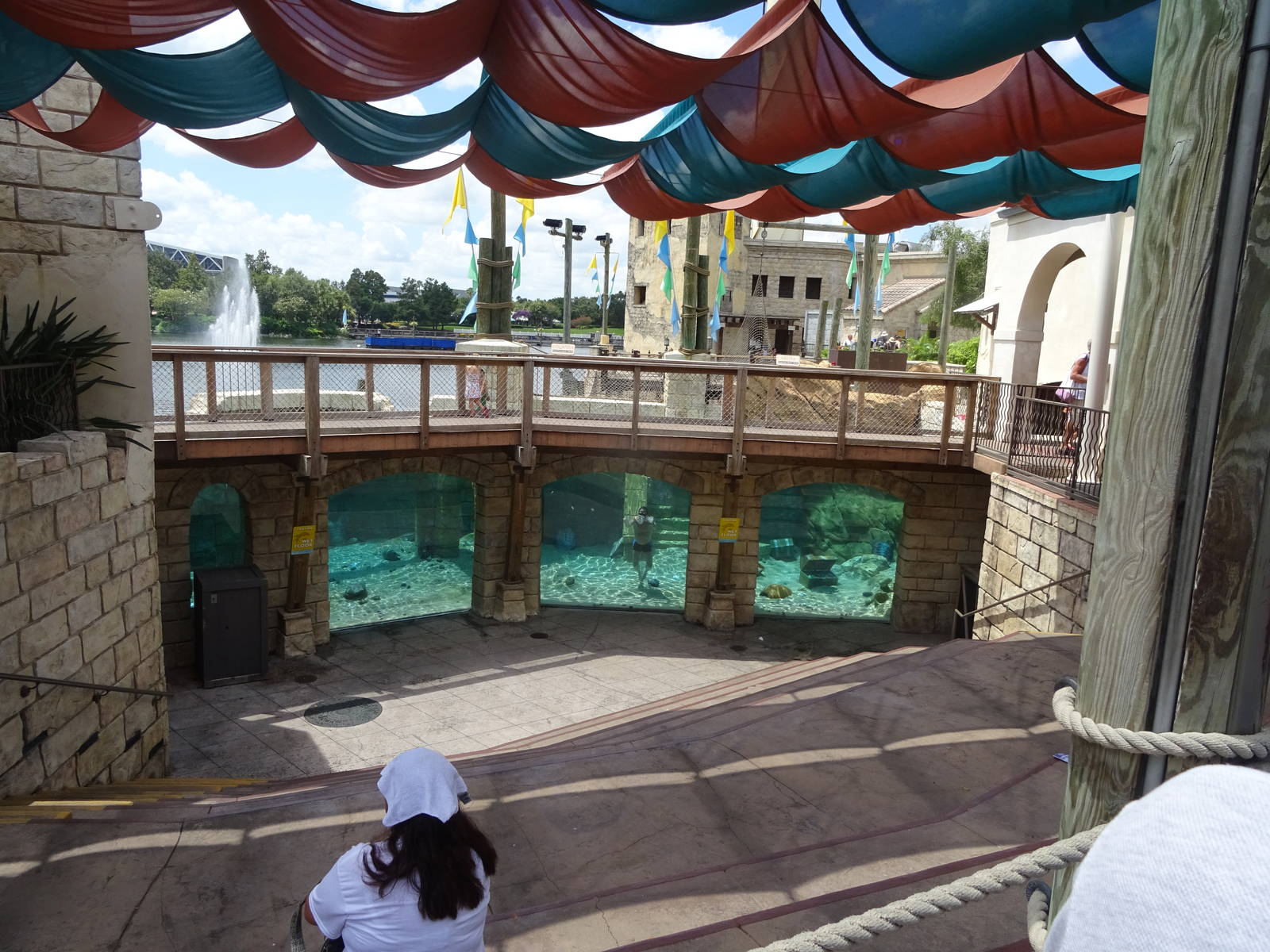 Pearl Dive at SeaWorld Orlando