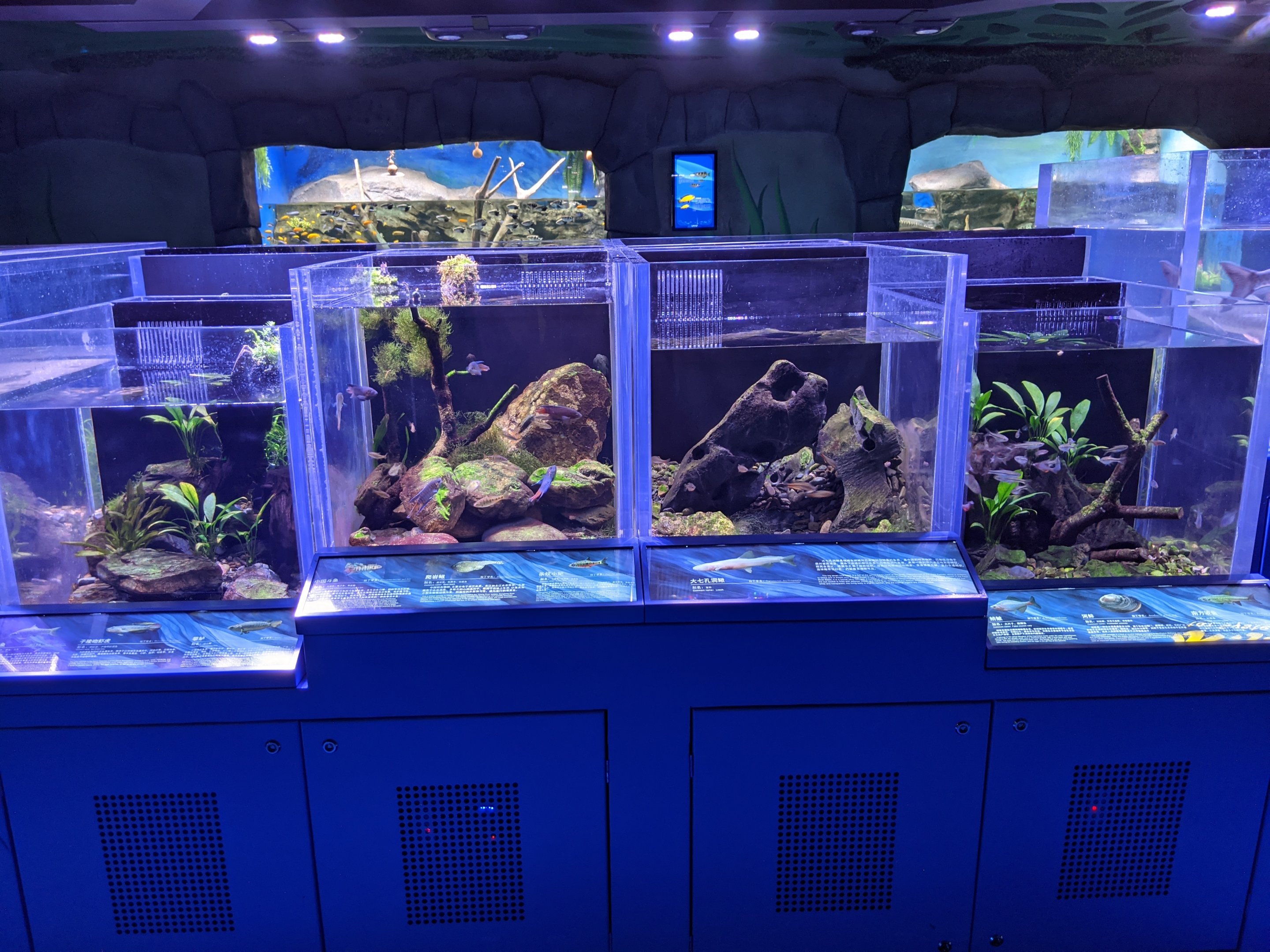 Pearl River System - Ocean World (Guangzhou)