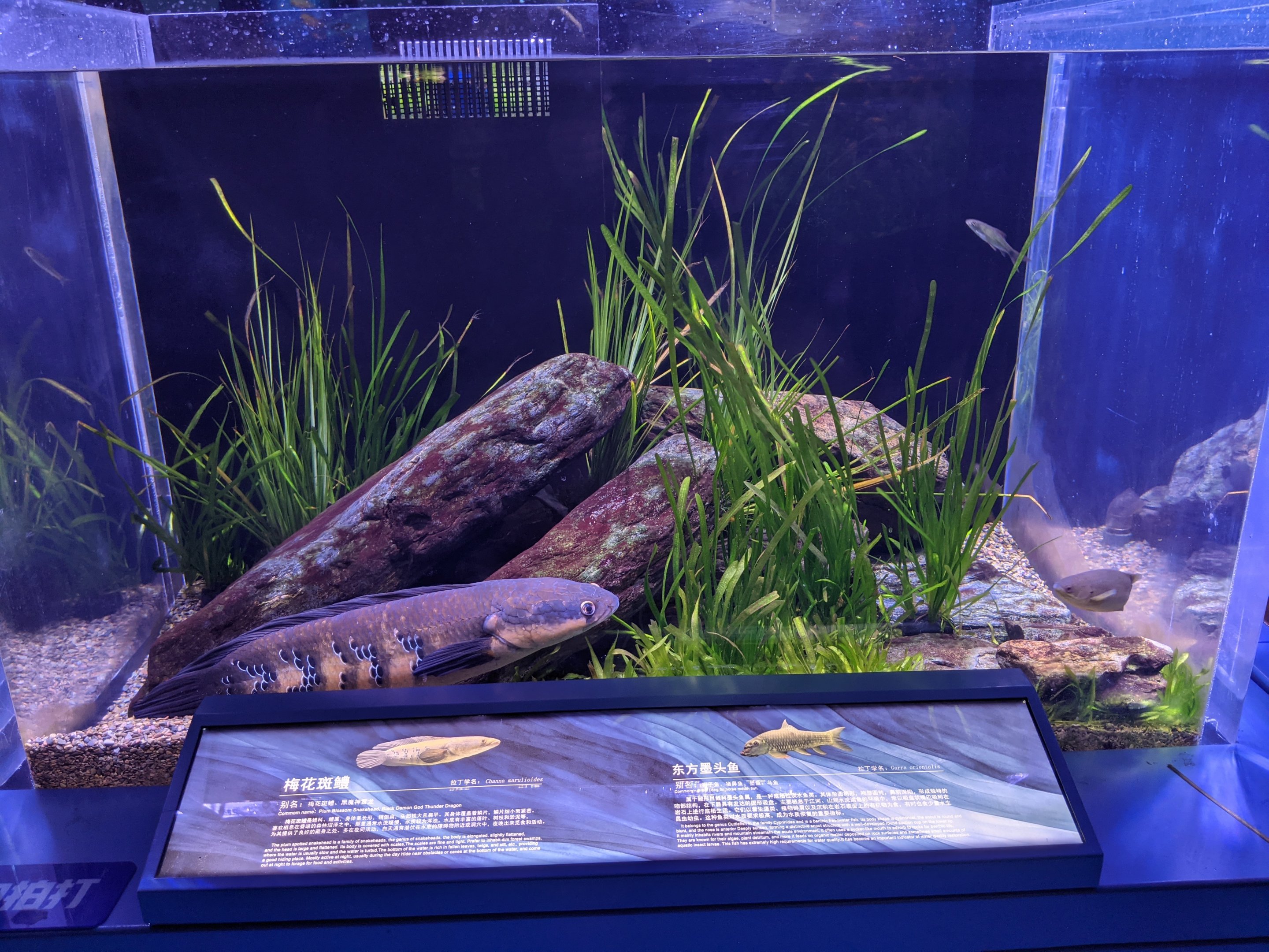 Pearl River System - Ocean World (Guangzhou)