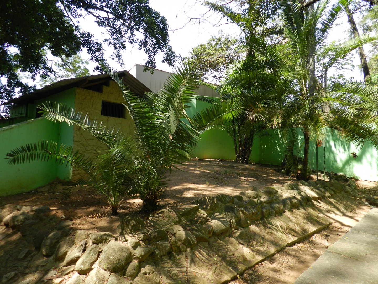 Peccari exhibit - Campinas zoo (BDJ)