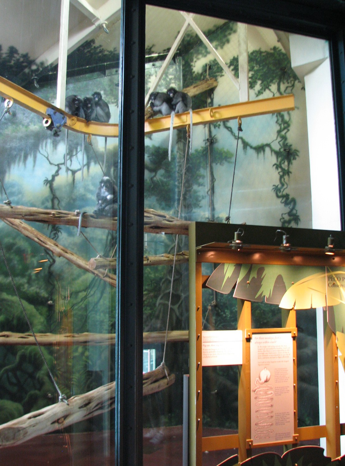 PECO Primate Conservation Center