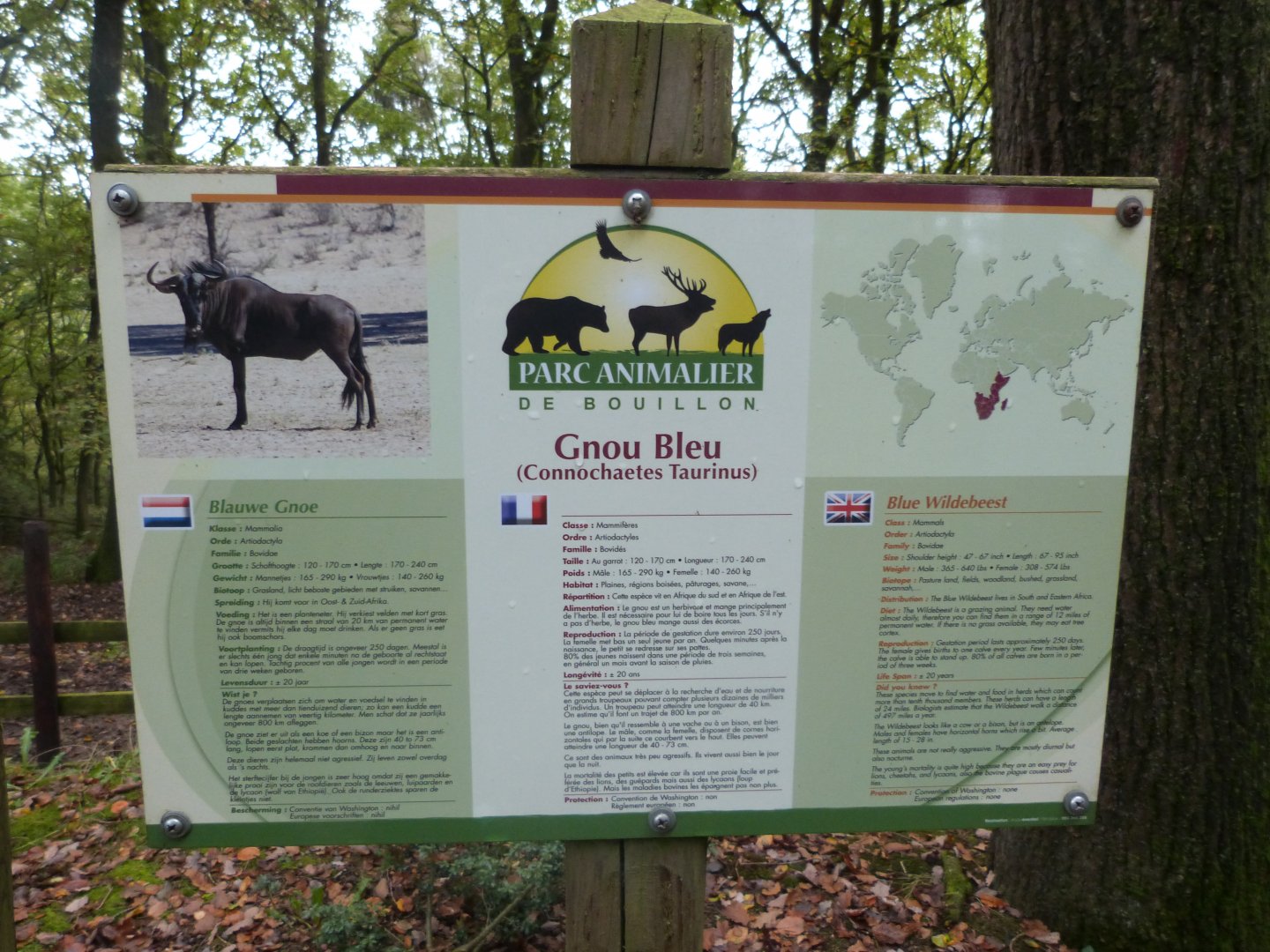 Pedagogical panel - Parc animalier de Bouillon