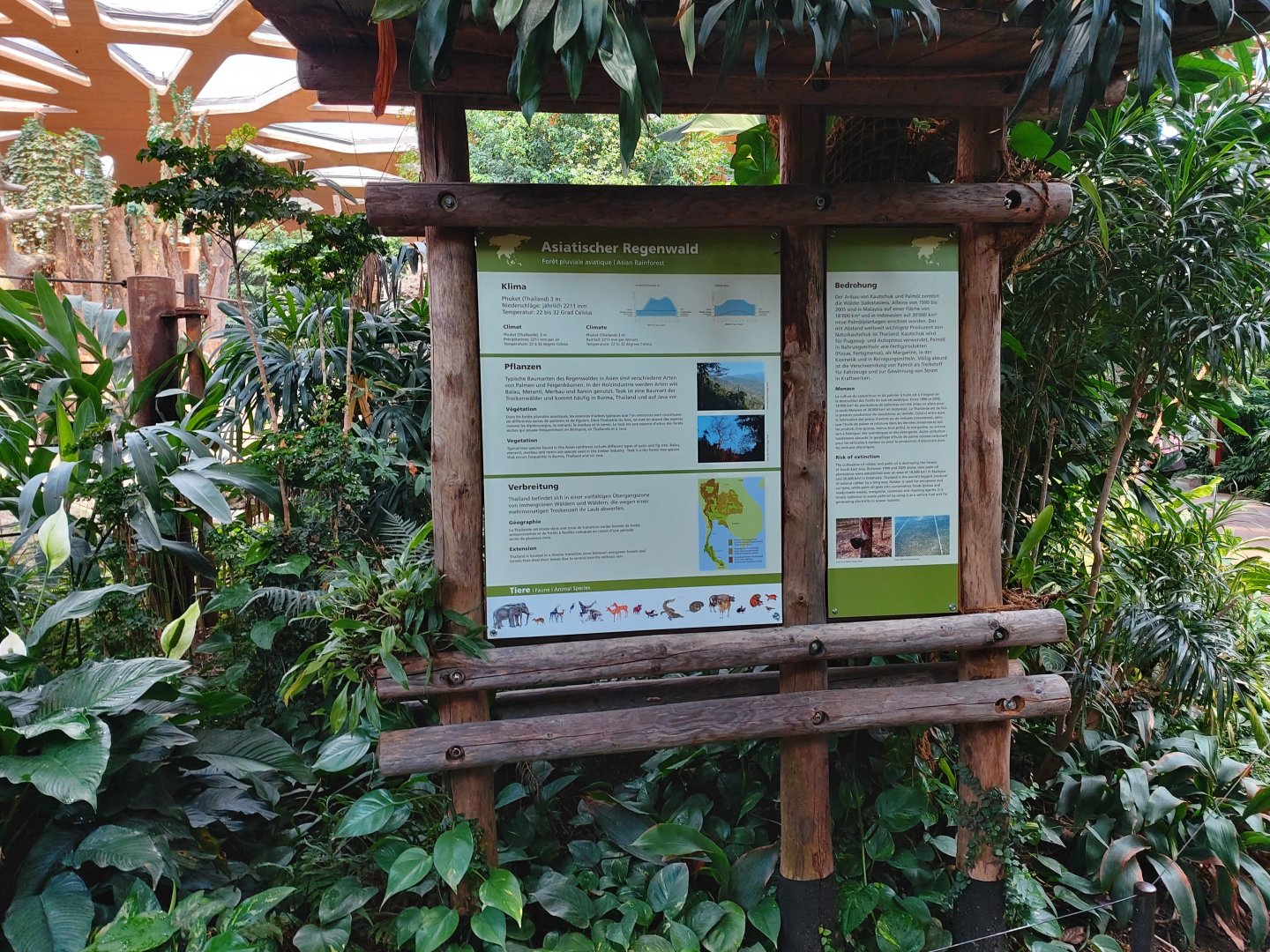 Pedagogy sign in the Kaeng Krachan Elephant Park house (July 2020)