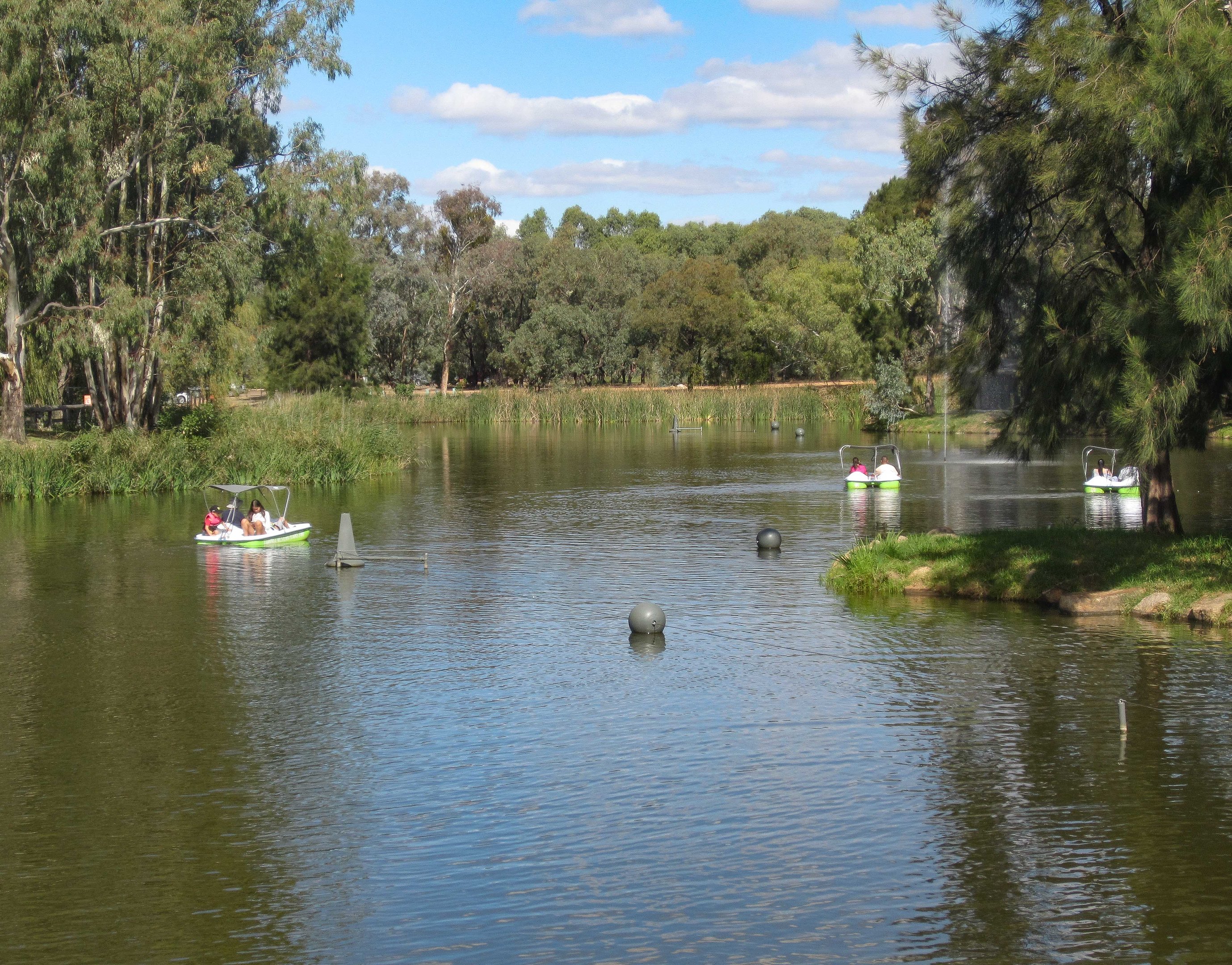 Pedal Boats on the Lake