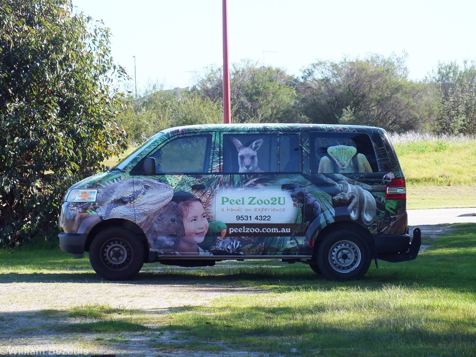 Peel Zoo Van