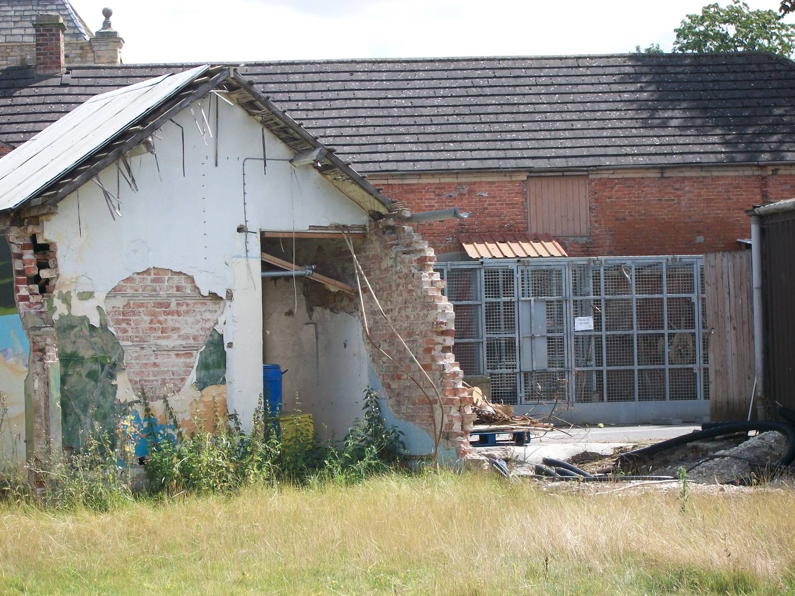 Peeping through at the aviaries in the Keepers' Yard, 4th August 2014